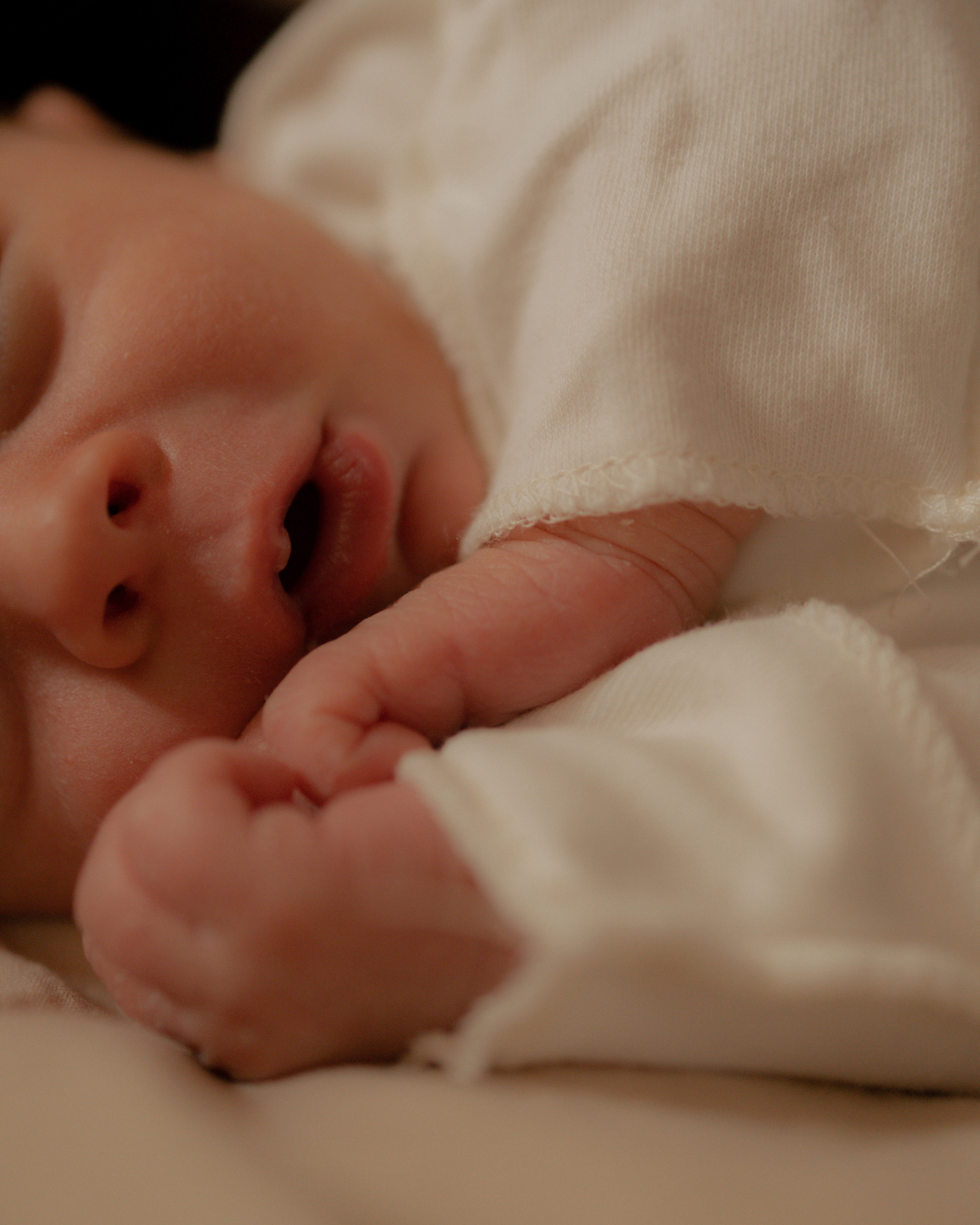 Домашняя история