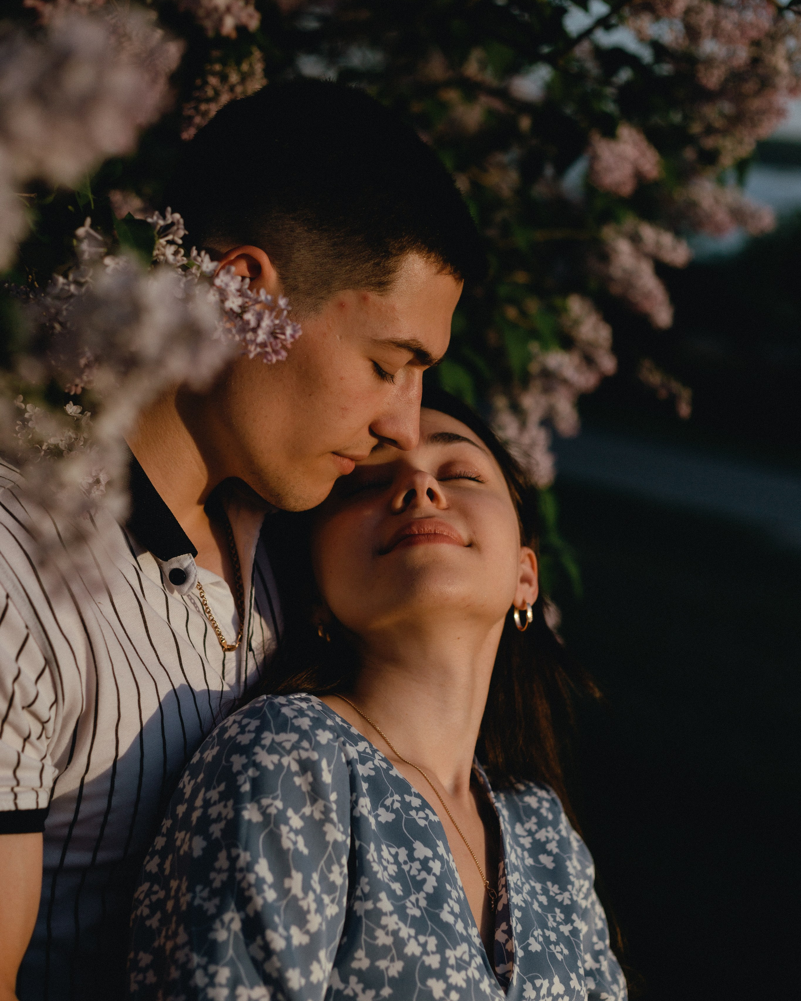 Поцелуй сирени