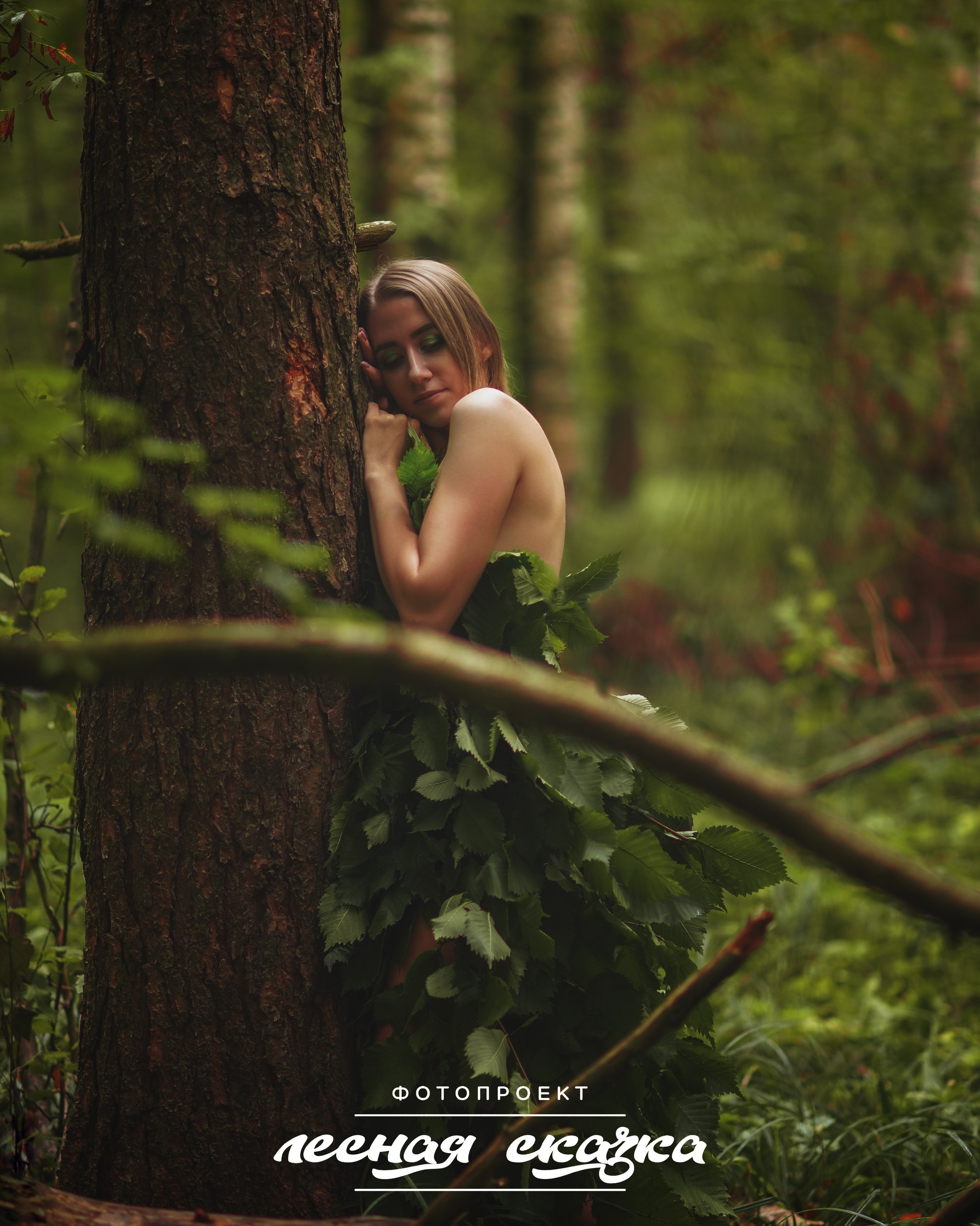 Лесная сказка