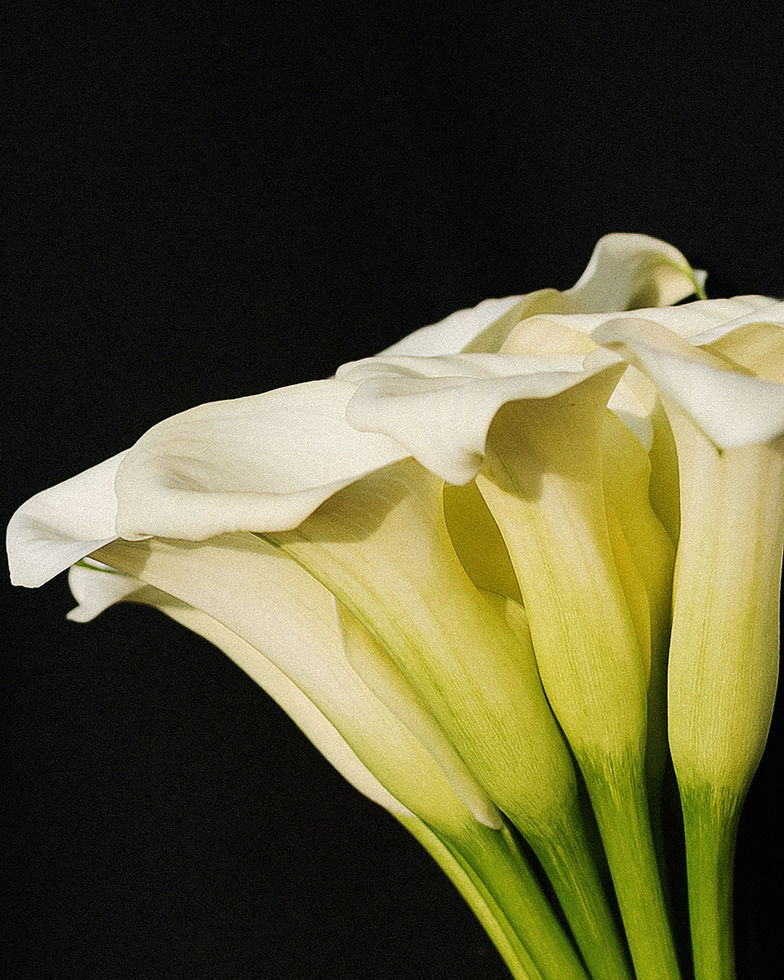 Света и Никита