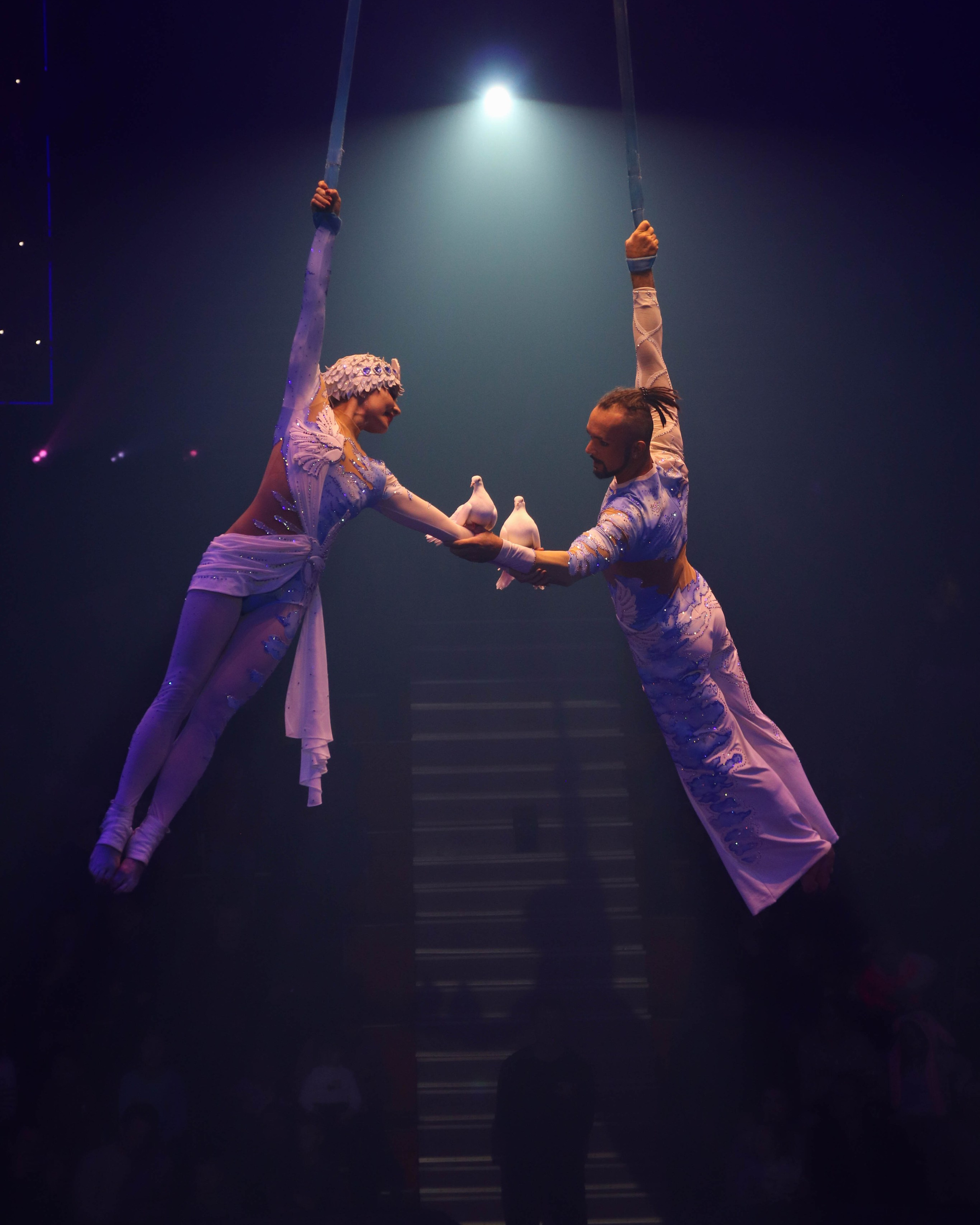 5 континентов 24/25