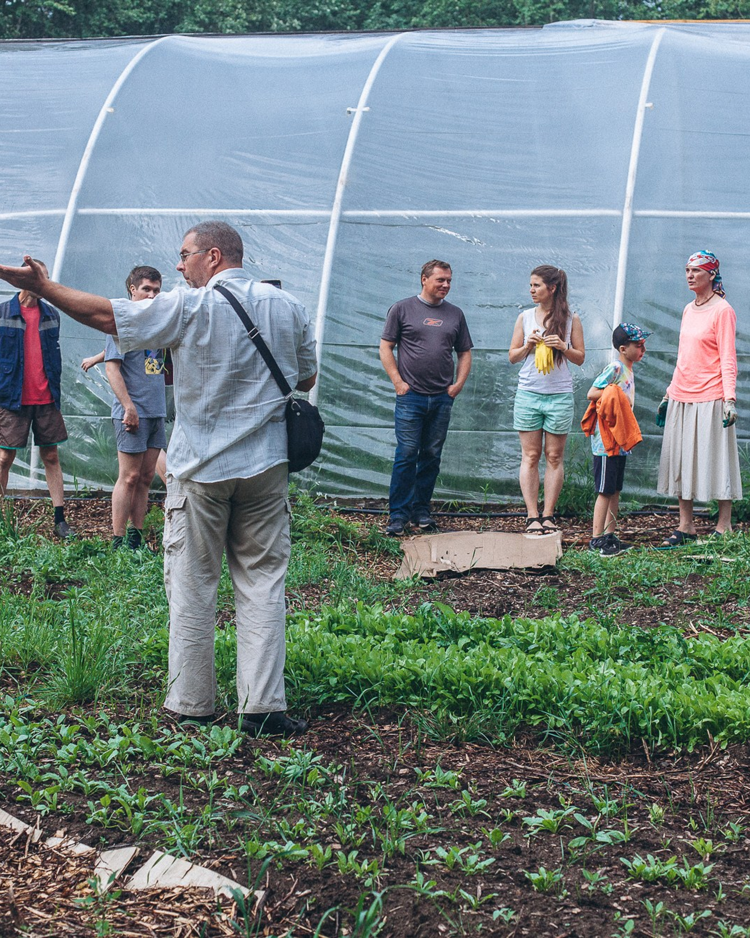 Огород Мечты