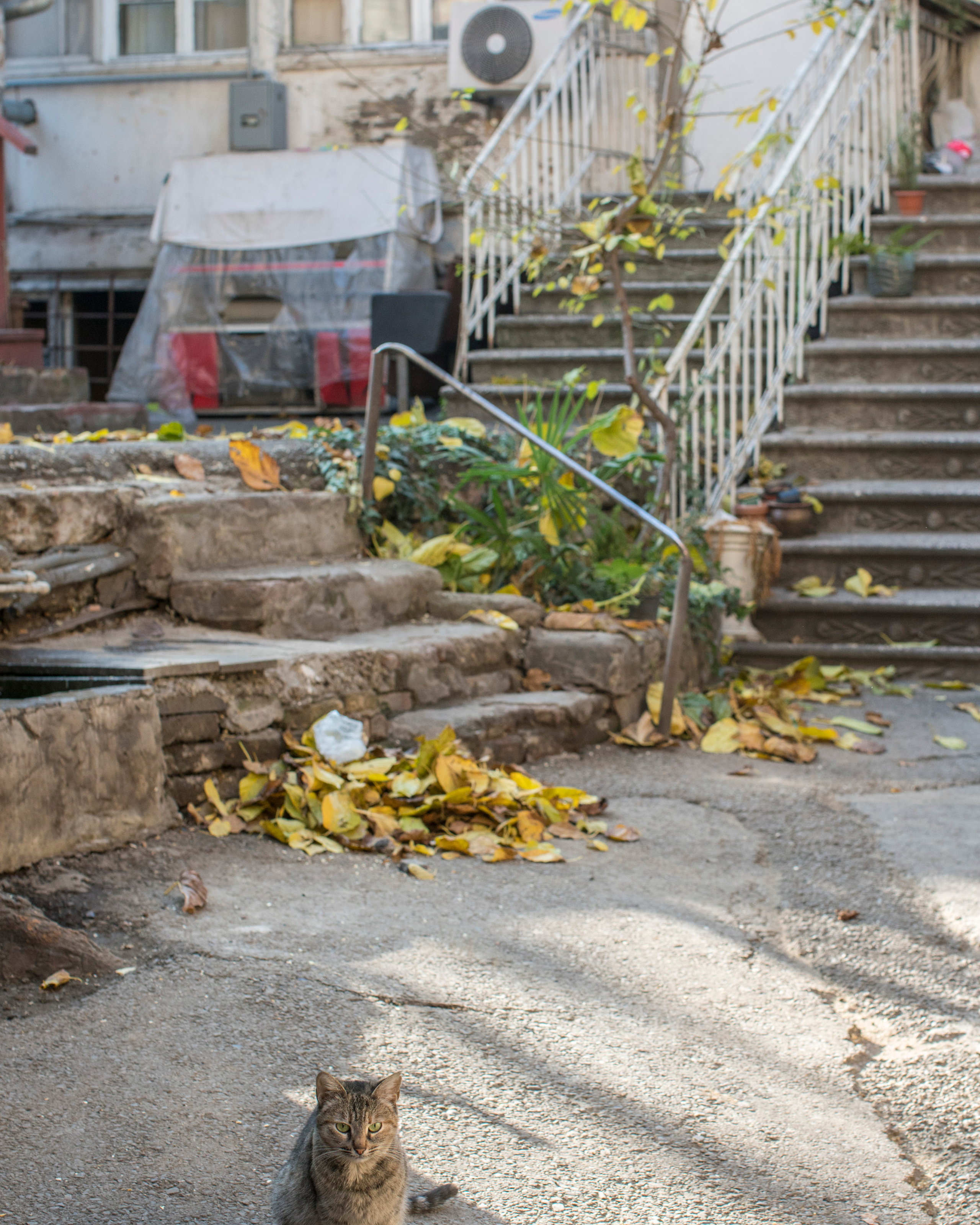 Грузия (декабрь 2017)