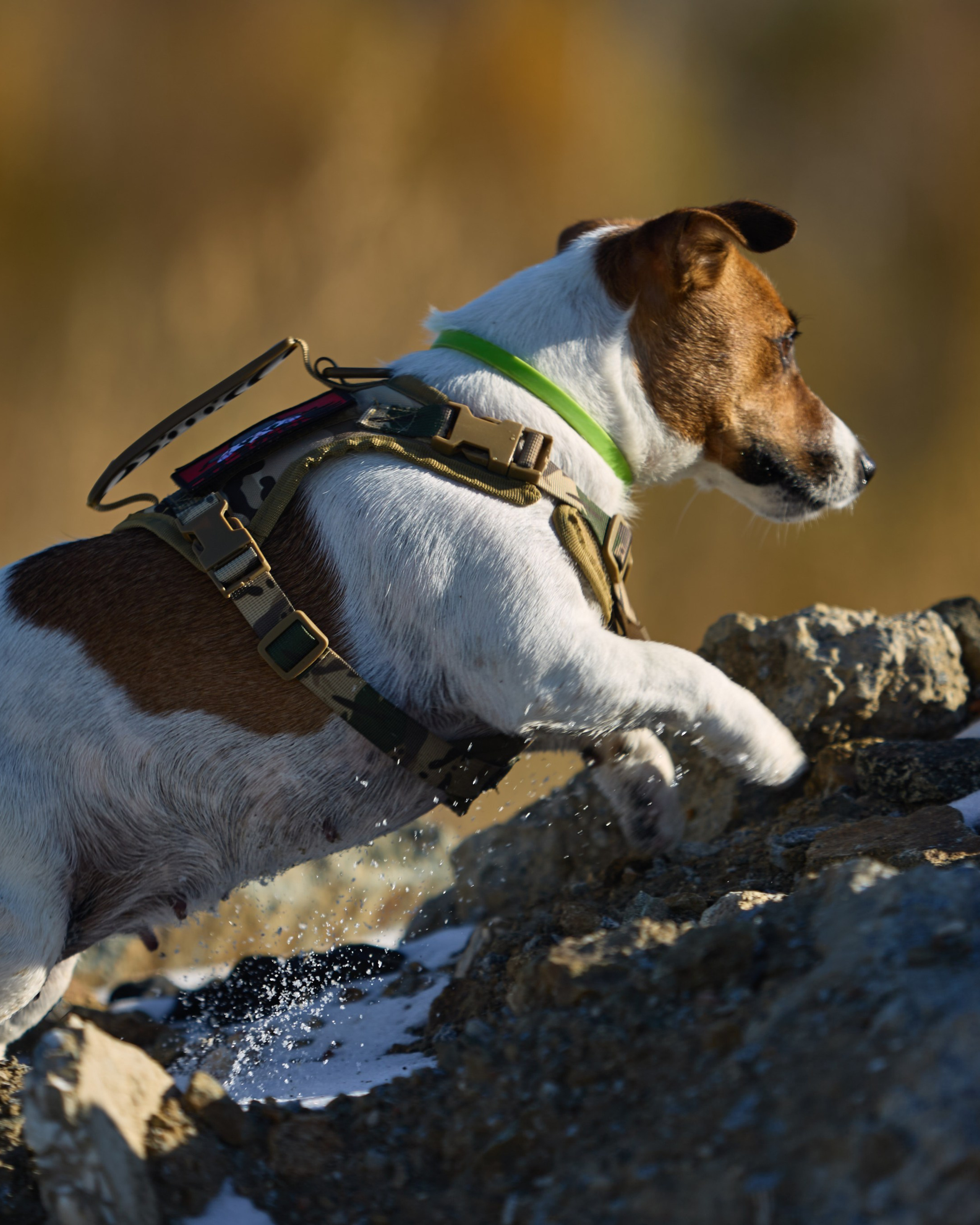 Лети Спасатель