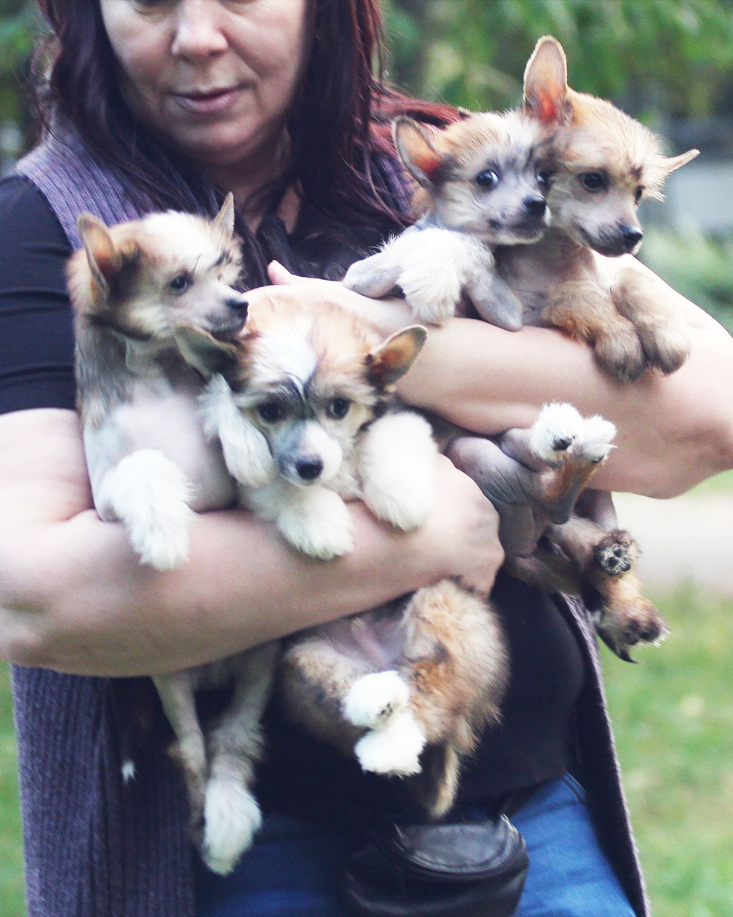 Litter C&nbsp;| 07/12/2019