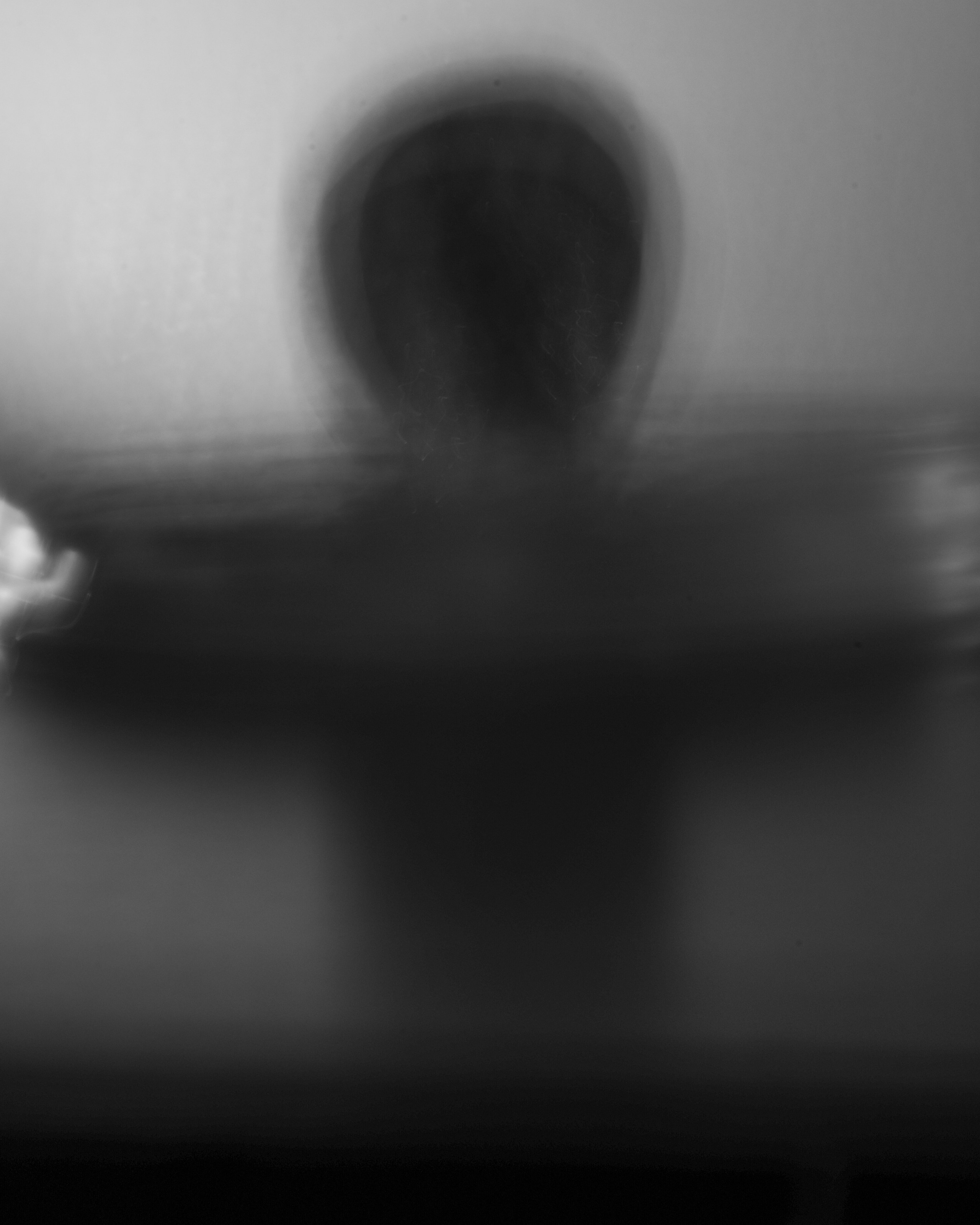 The dream of the dark world