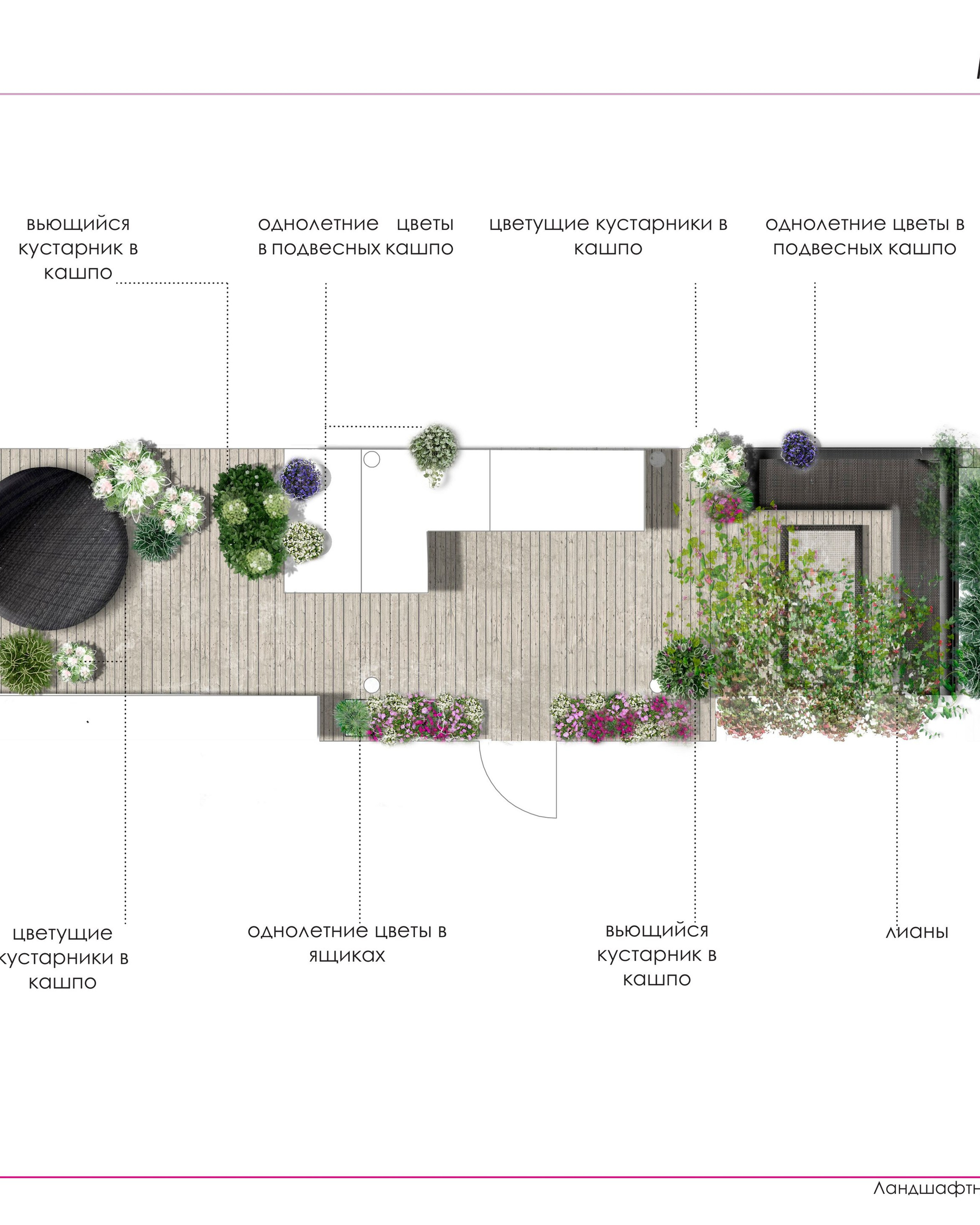 Проект озеленения