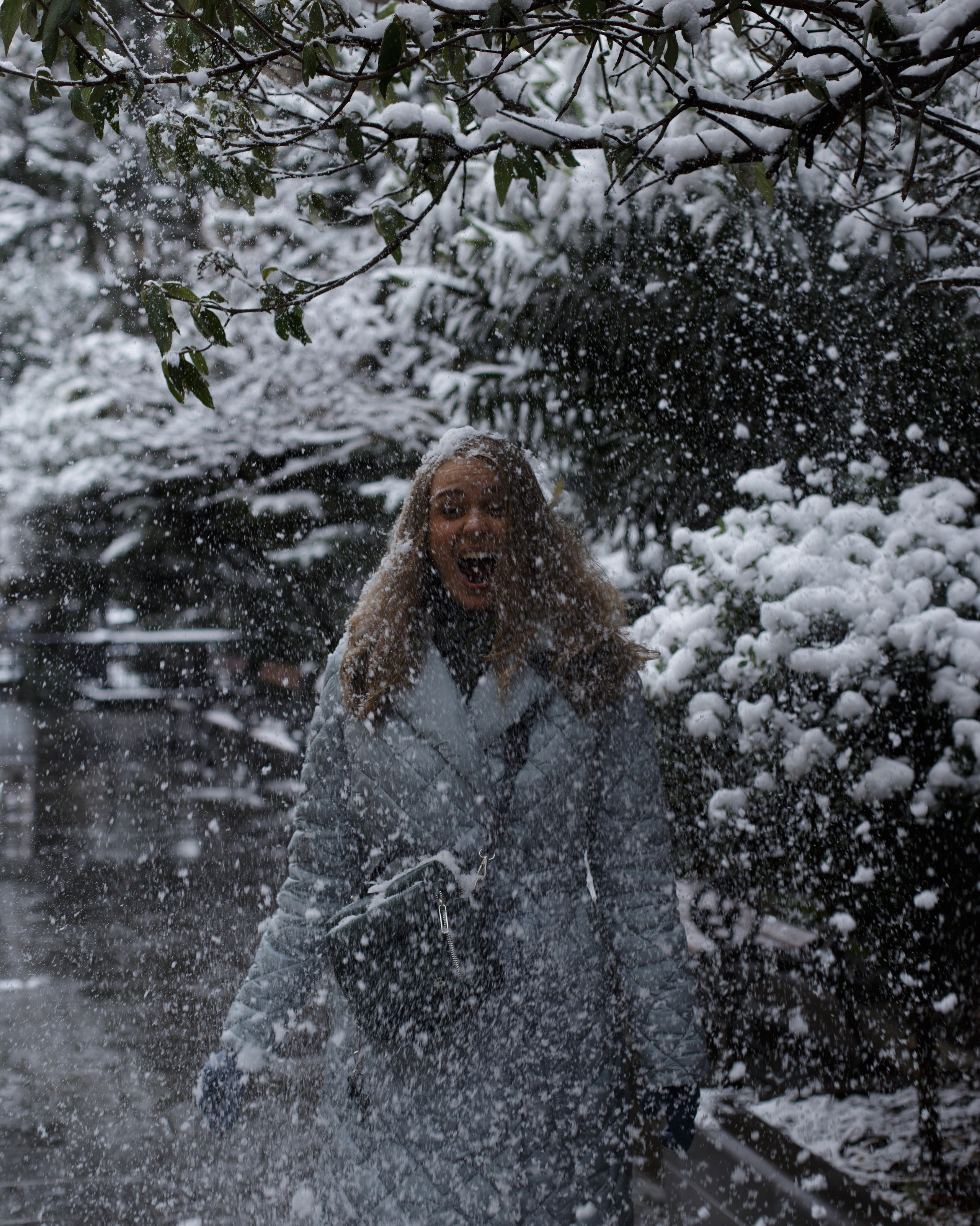 В снежный день