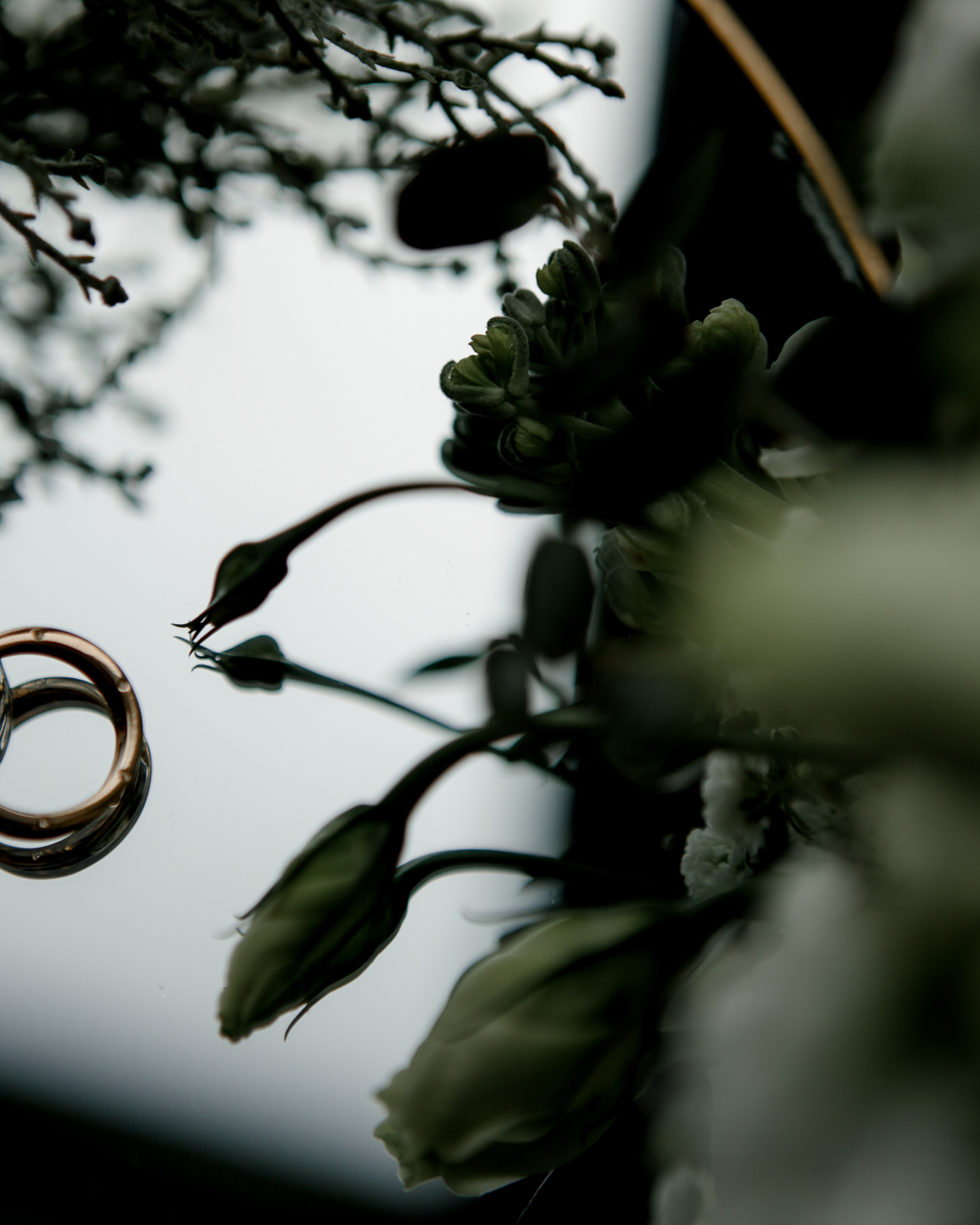 Евгения & Дмитрий