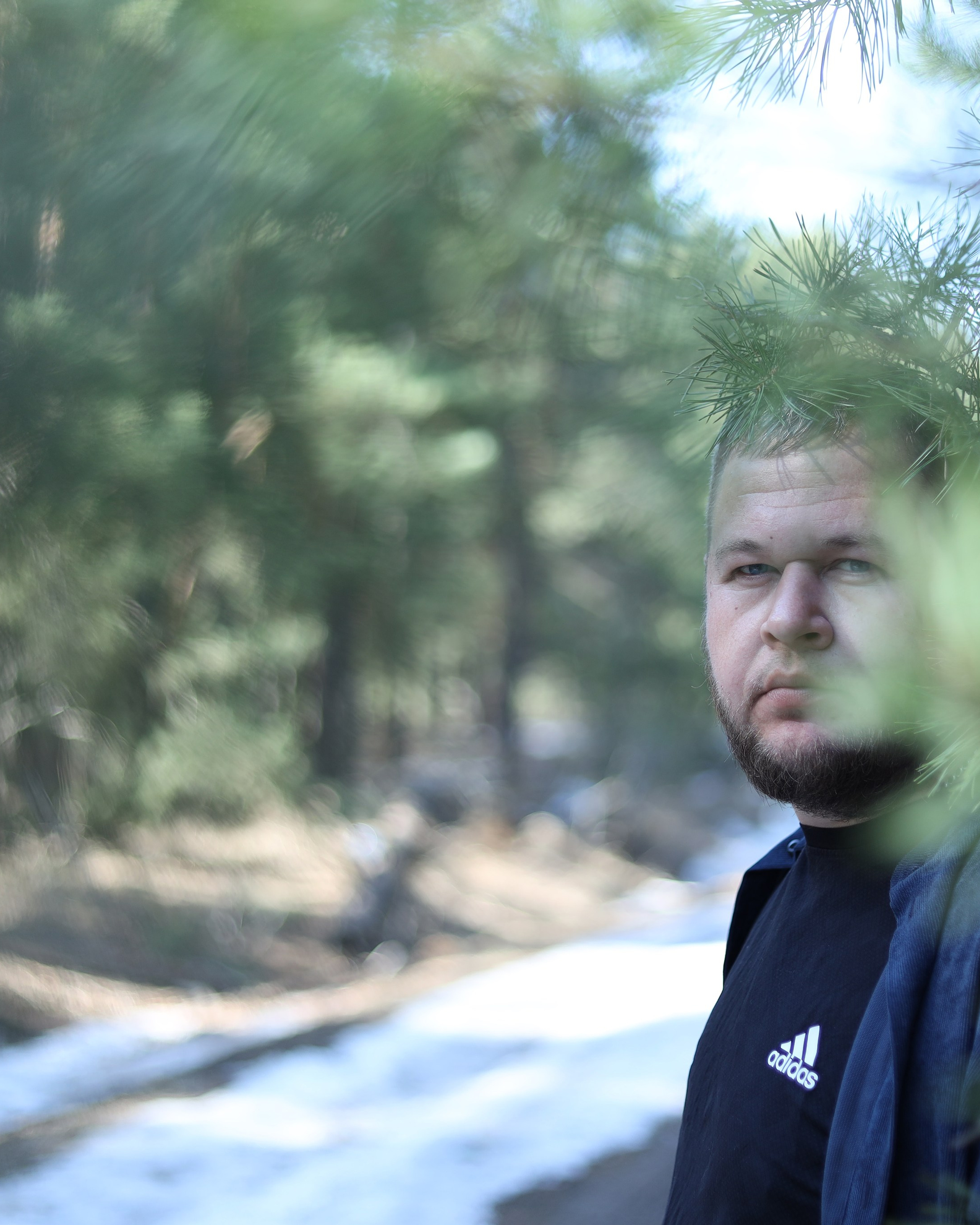 Фотосессия в&nbsp;лесу