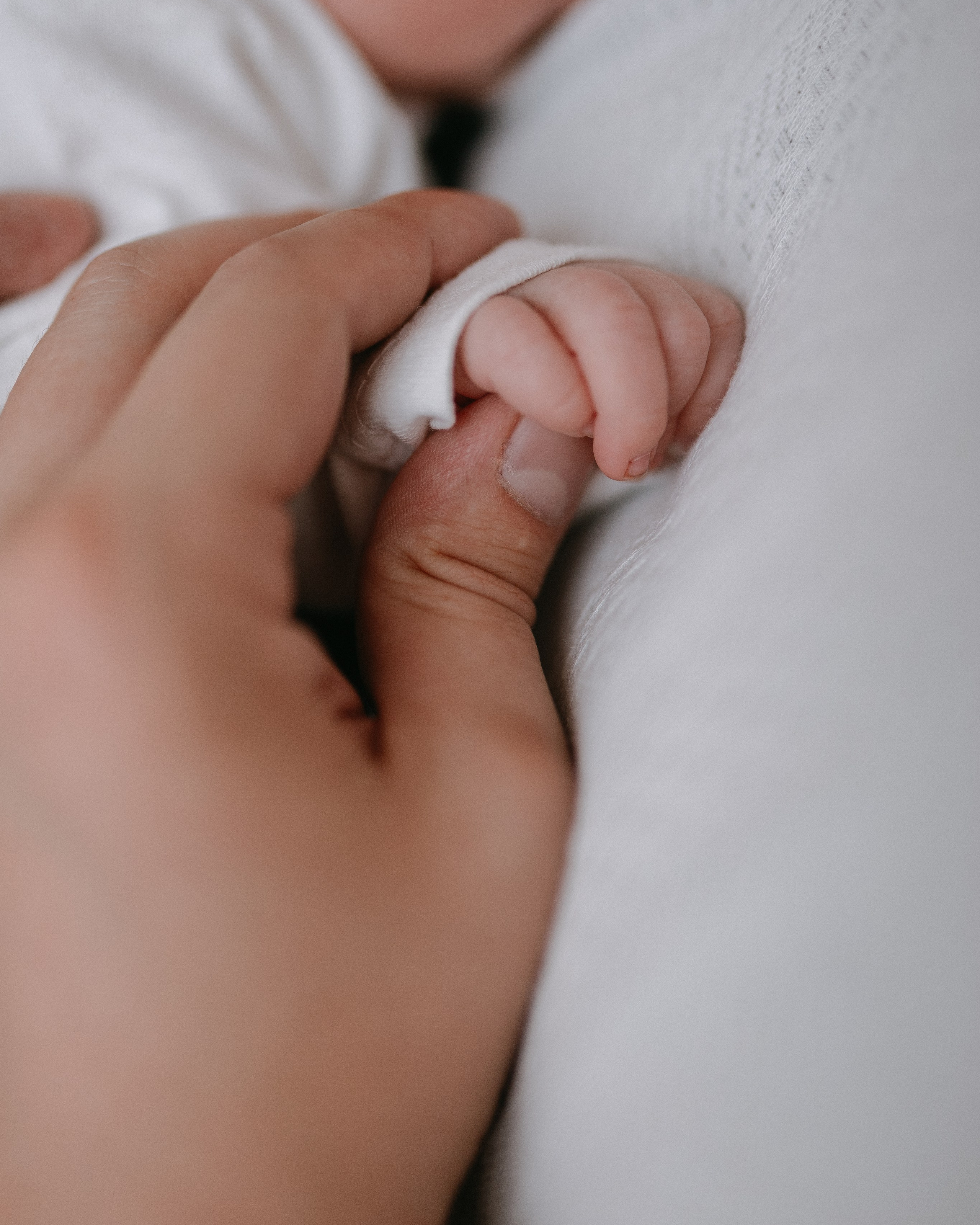 Вероника + Дима + Владик