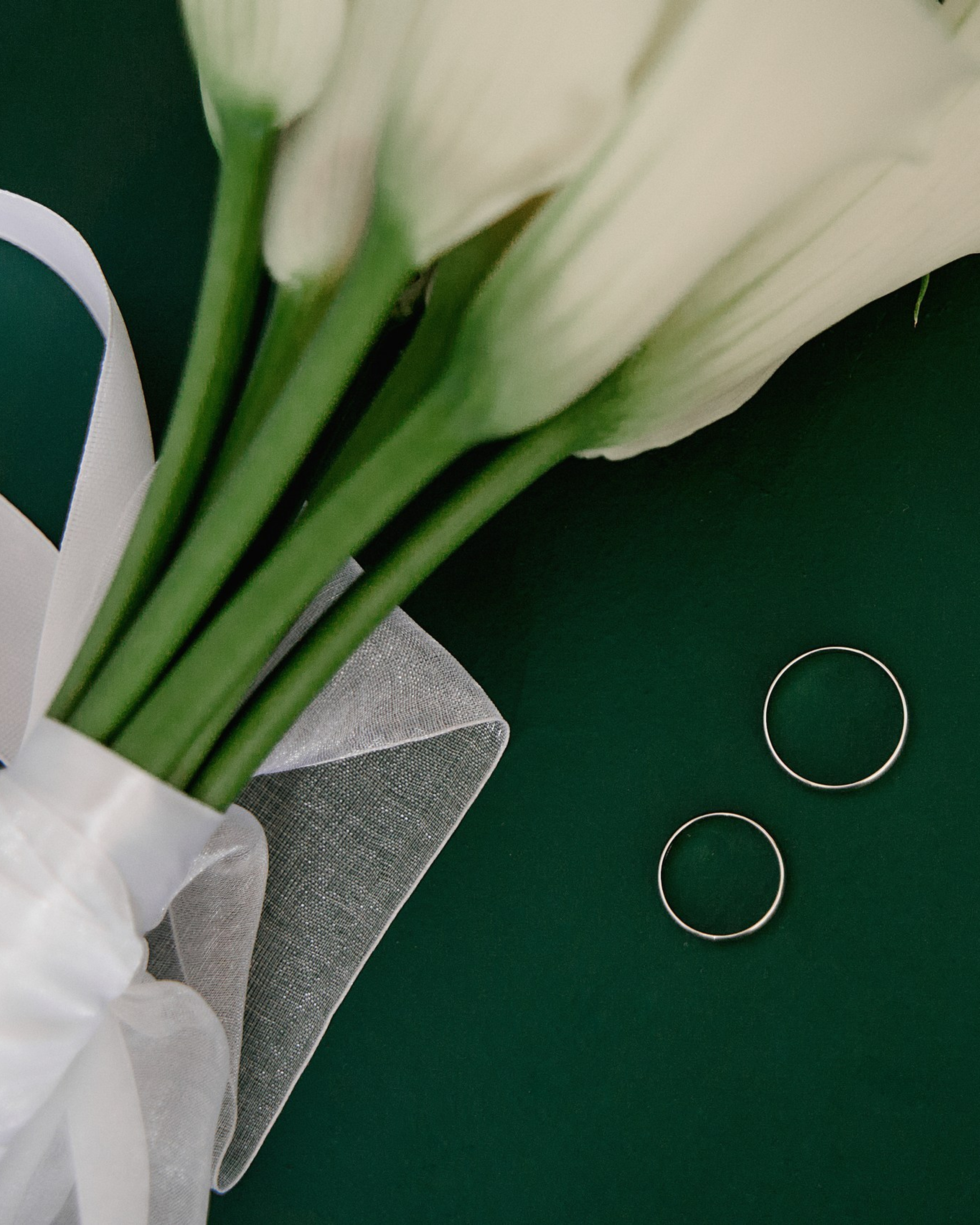 Степан и Гиляна