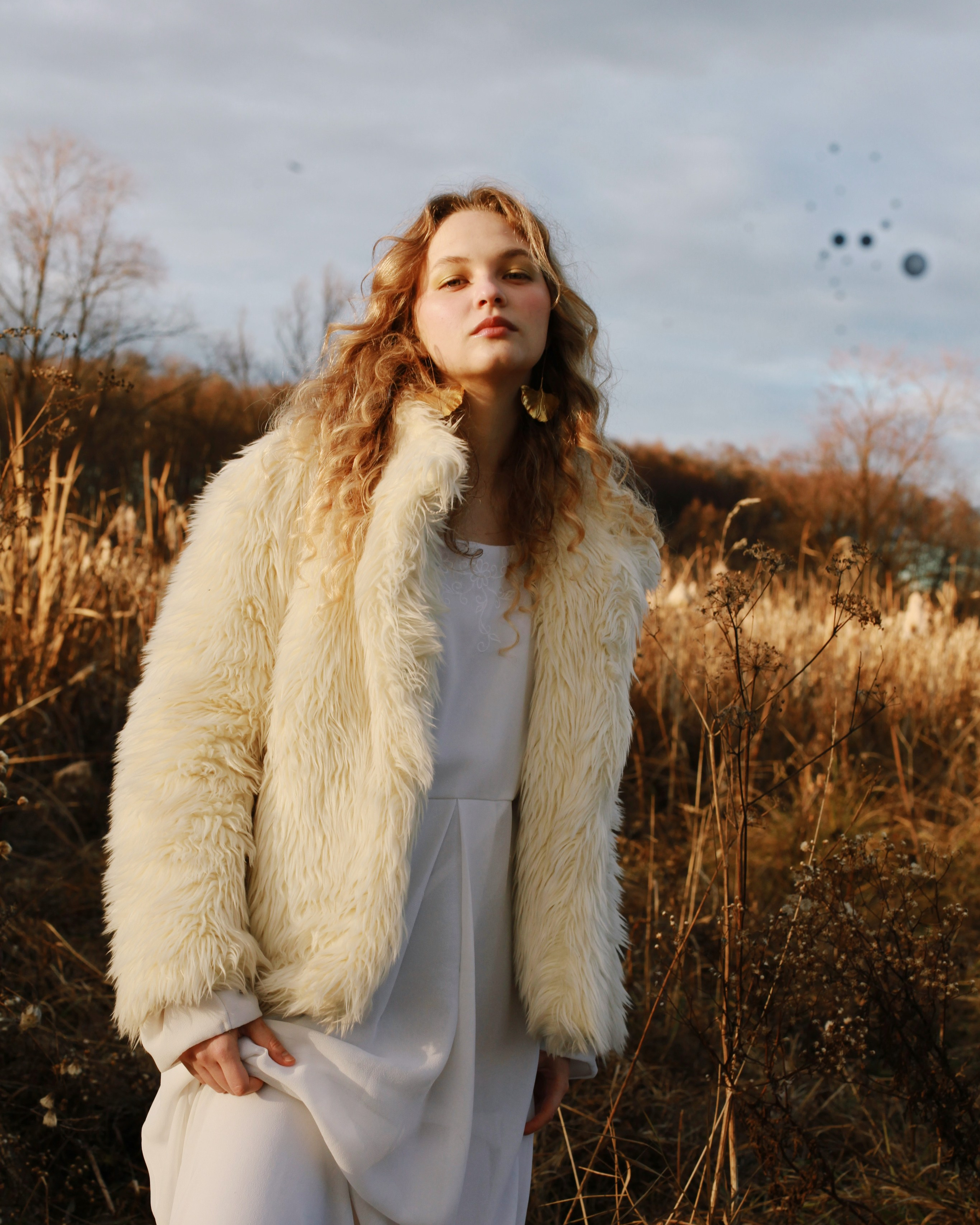 2. Поля for MMOMA