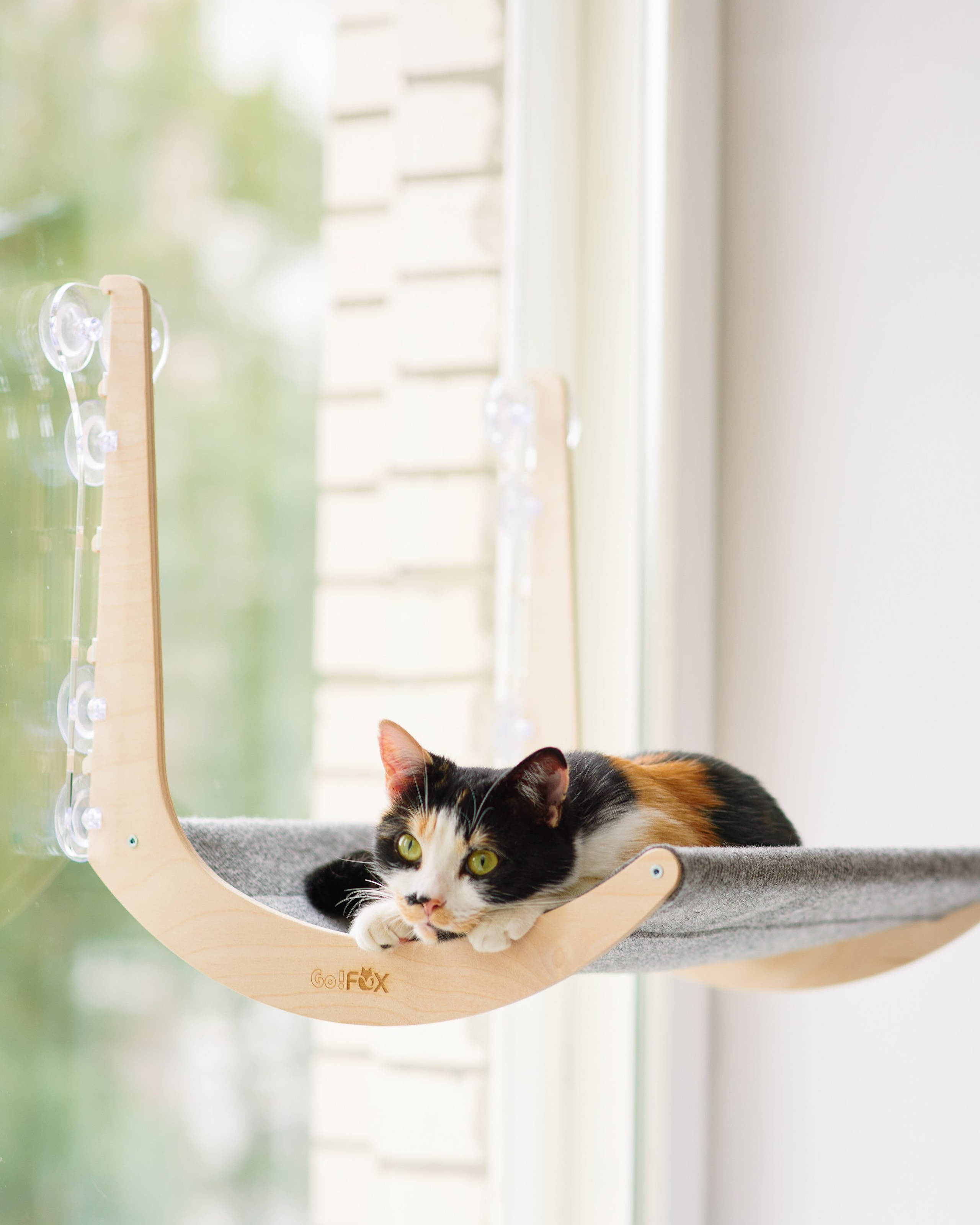 товары для животных