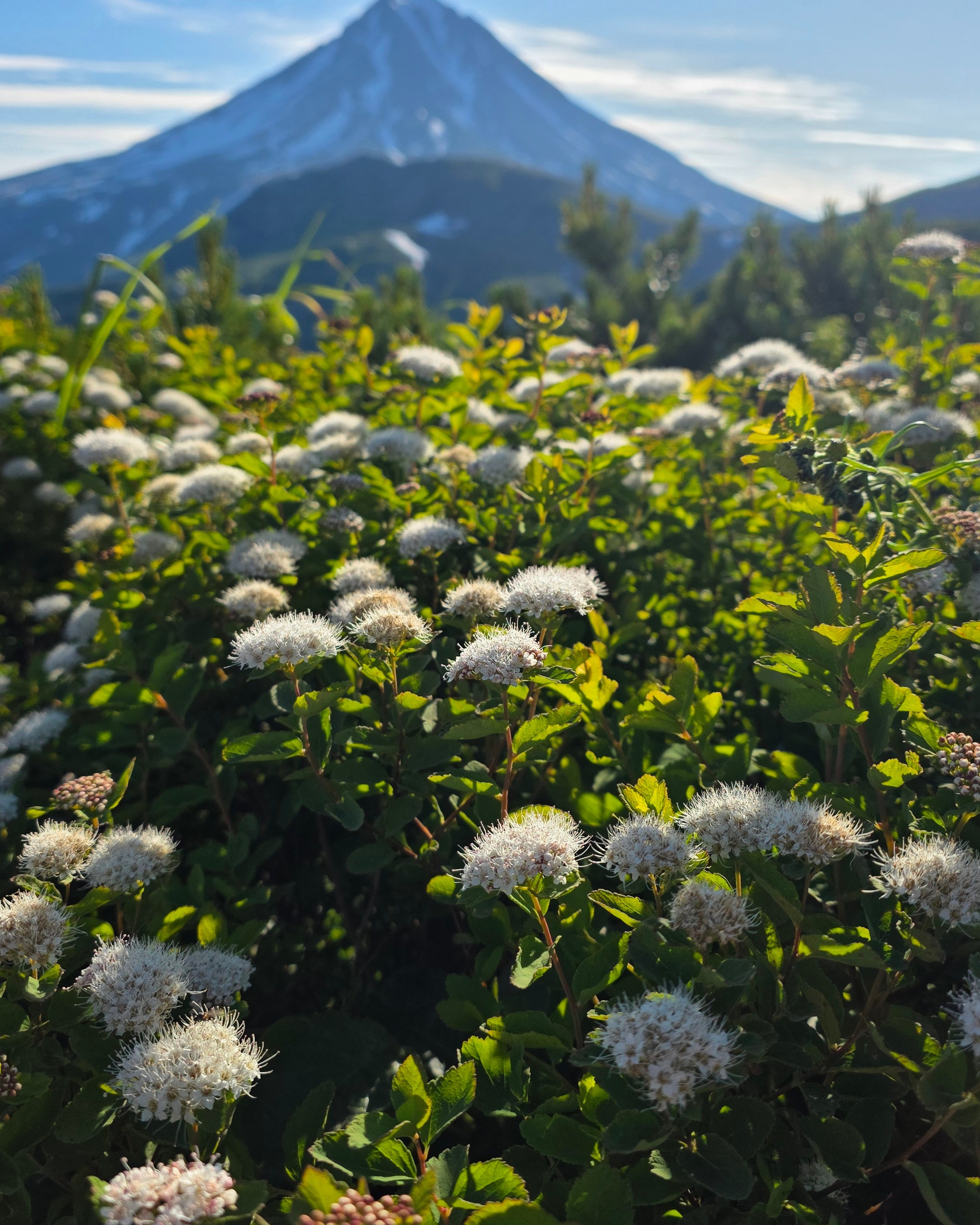 Восхождение на&nbsp;вулкан Горелый