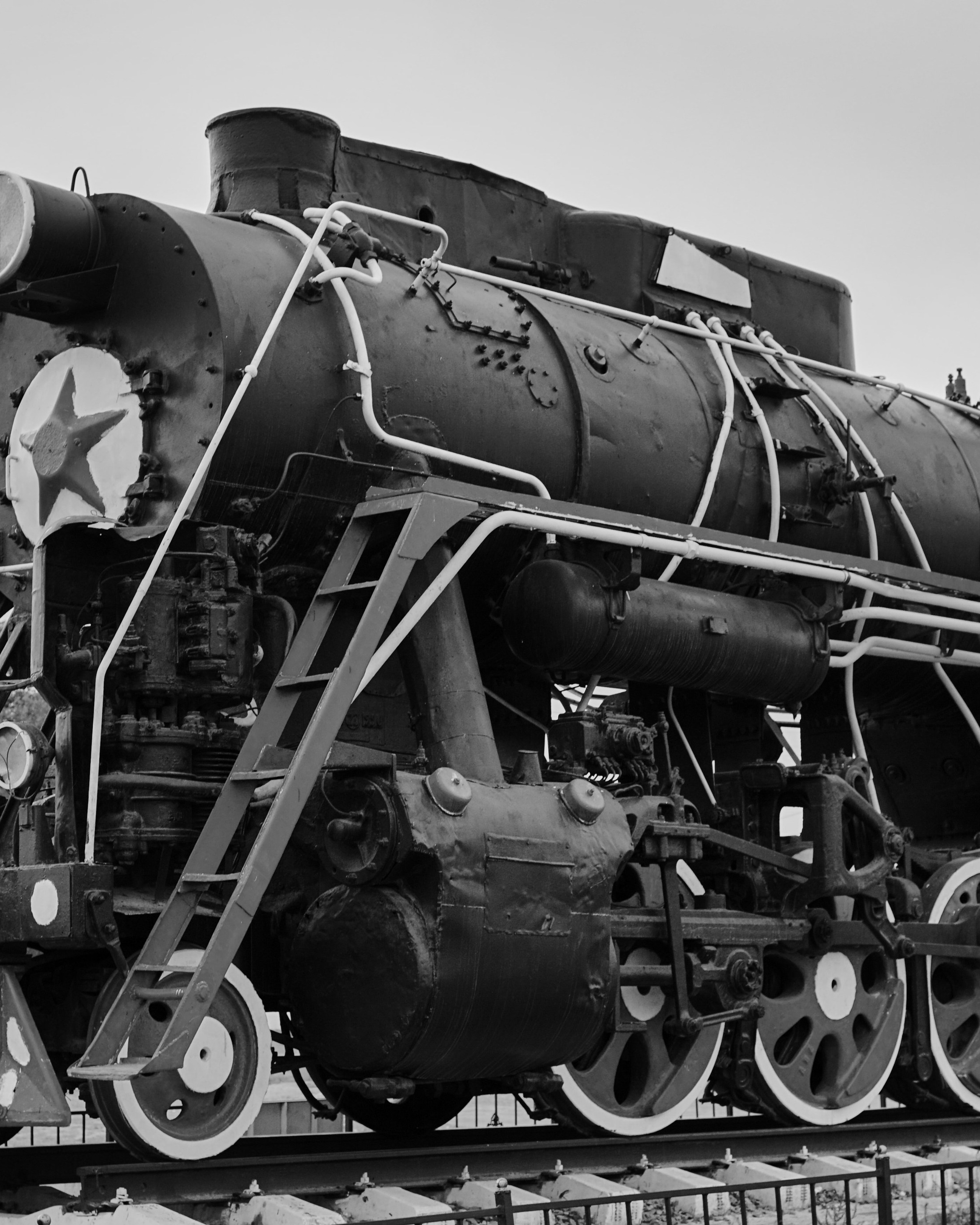 | Случайный кадр |