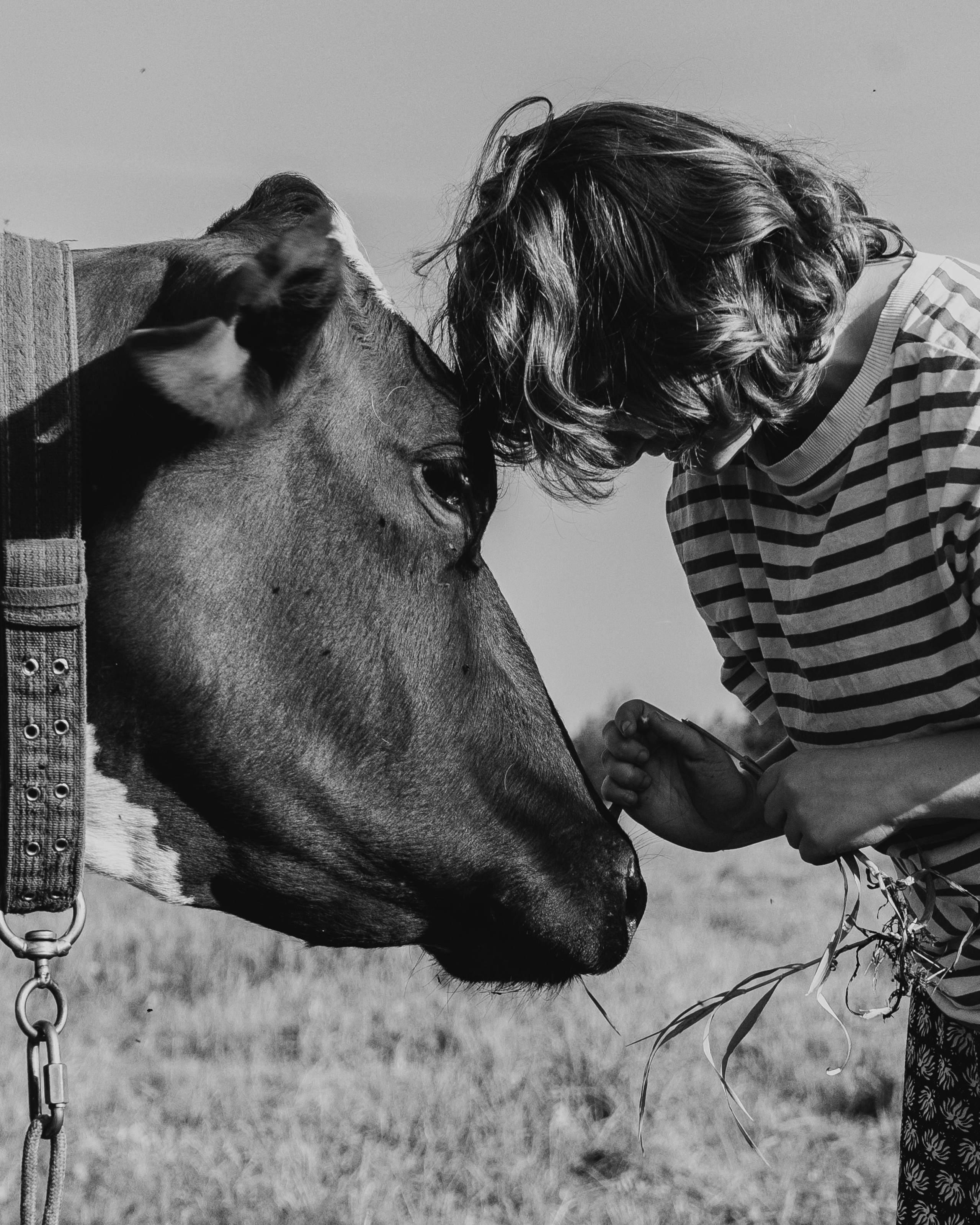 Деревня Боярка