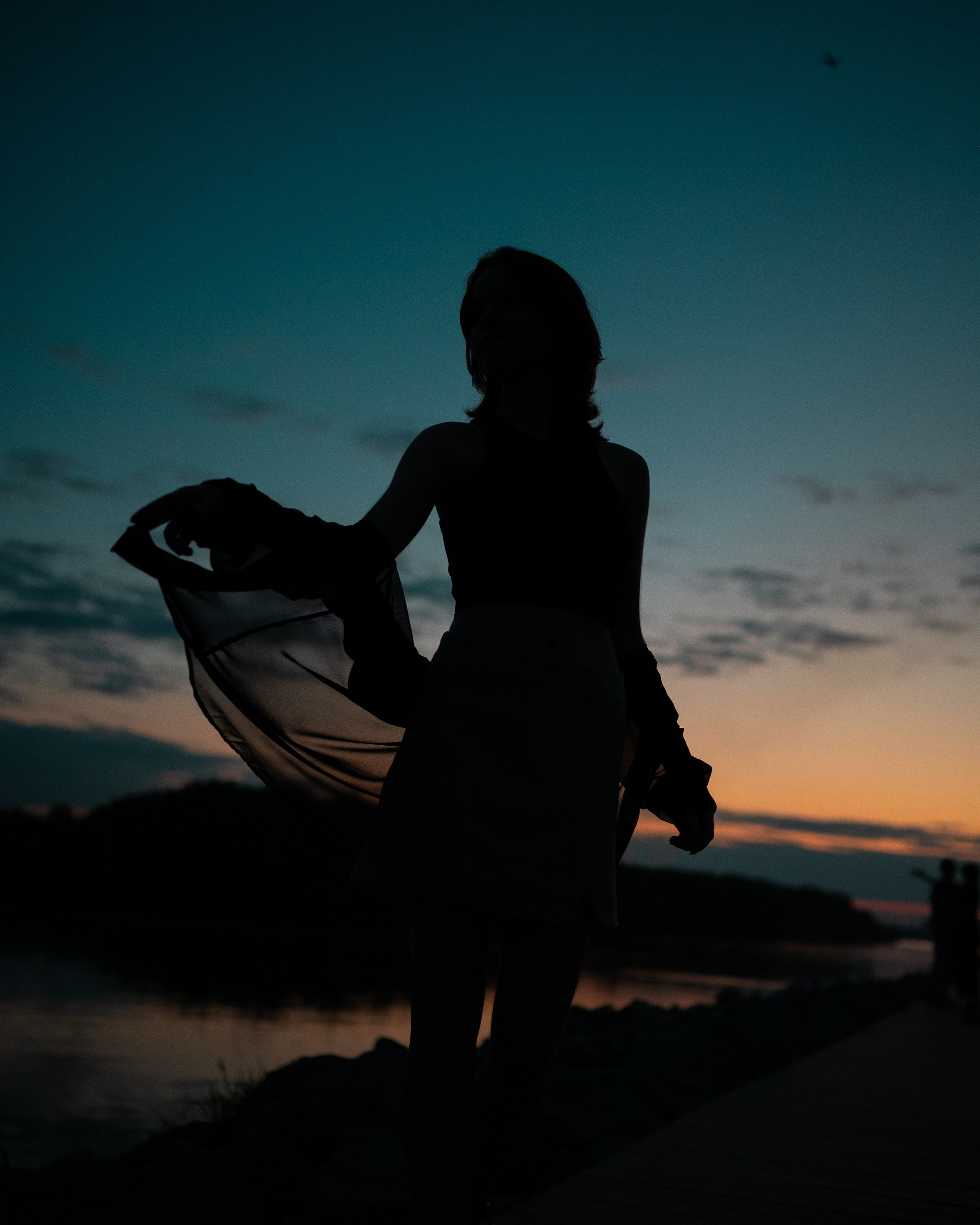 Sunset Silhouette
