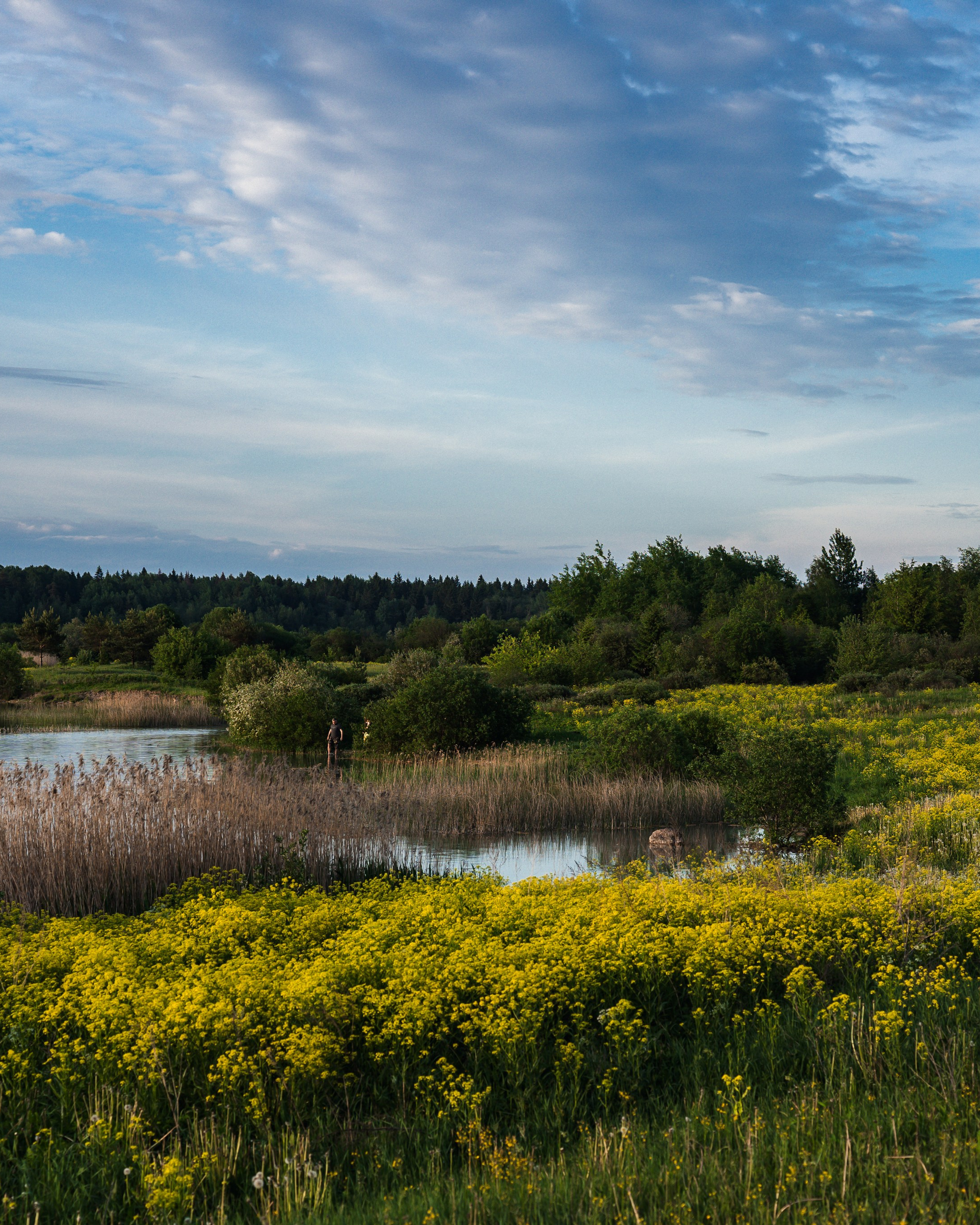 озеро Донцо (Кюрлевский карьер), Лен. область