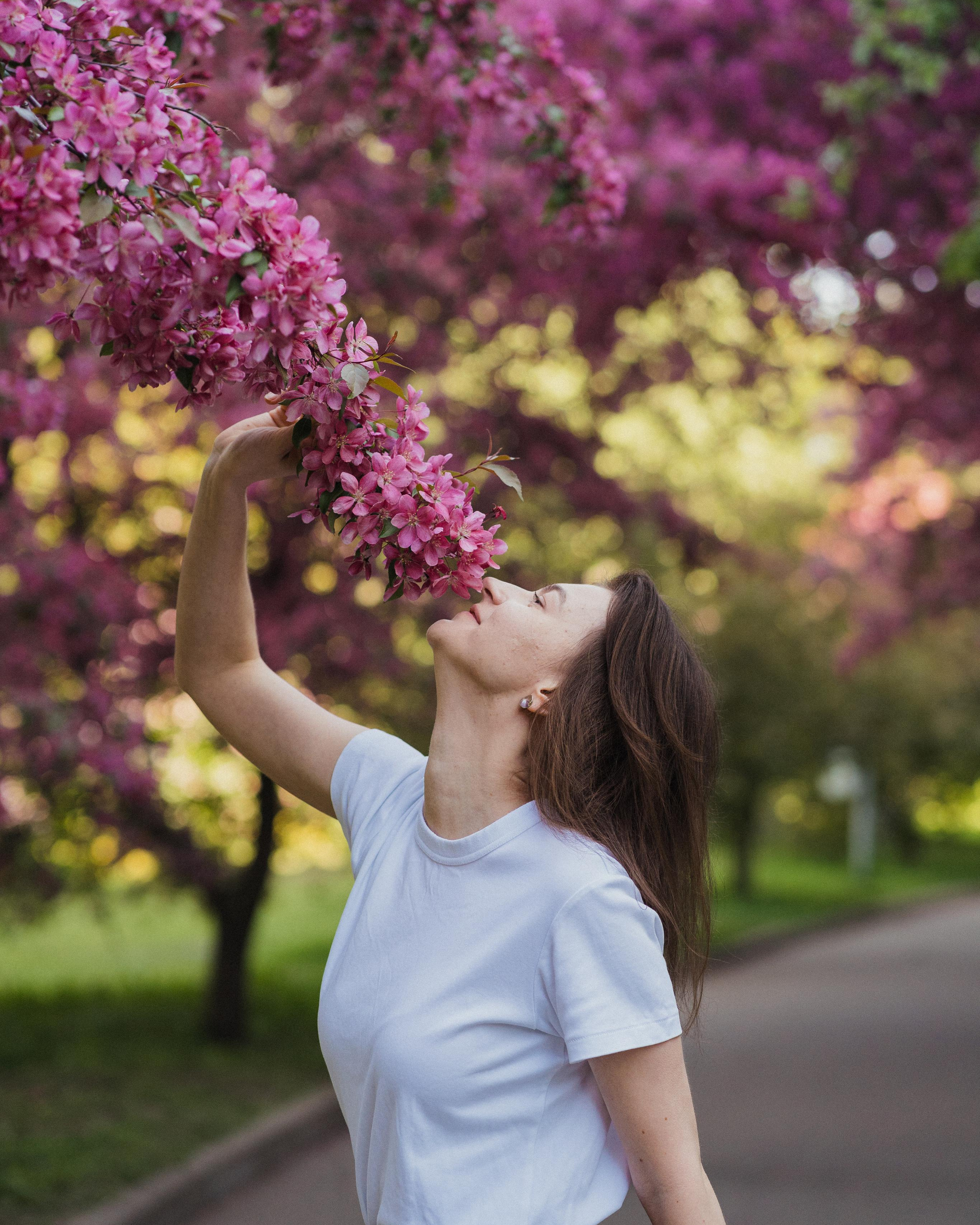 Леда, розовое цветение