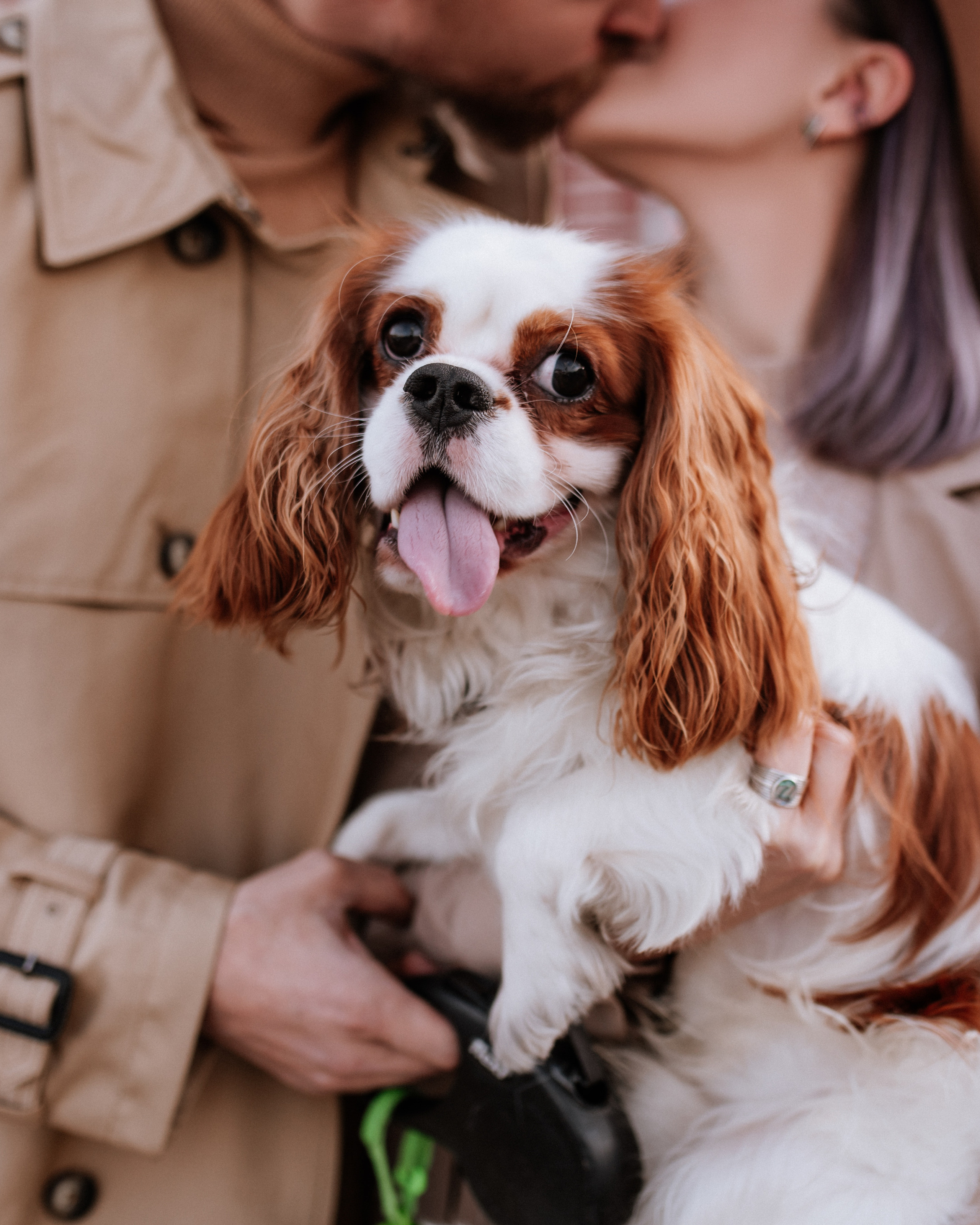 Лера, Артем и Люпин