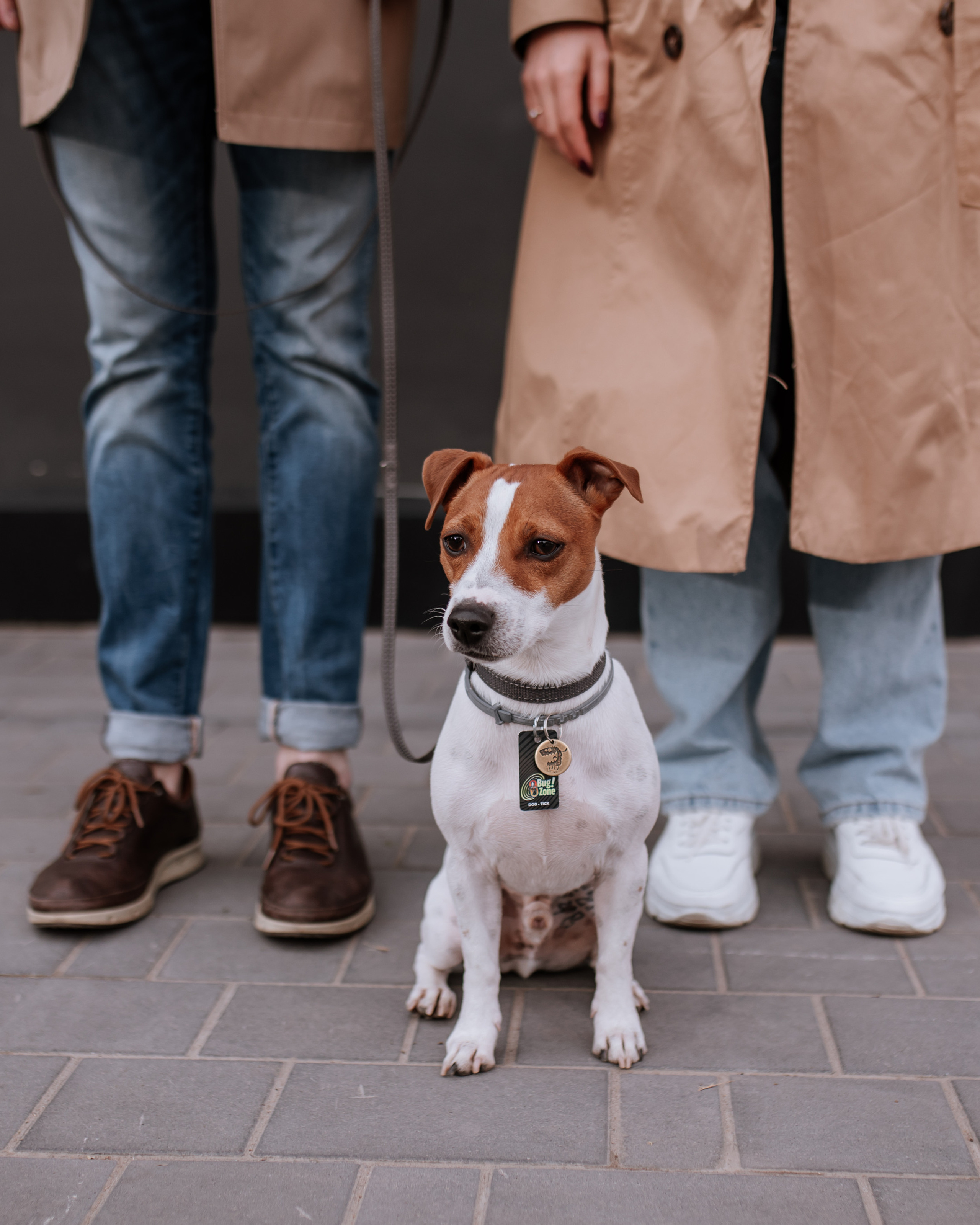 Аня, Артем и Патрик