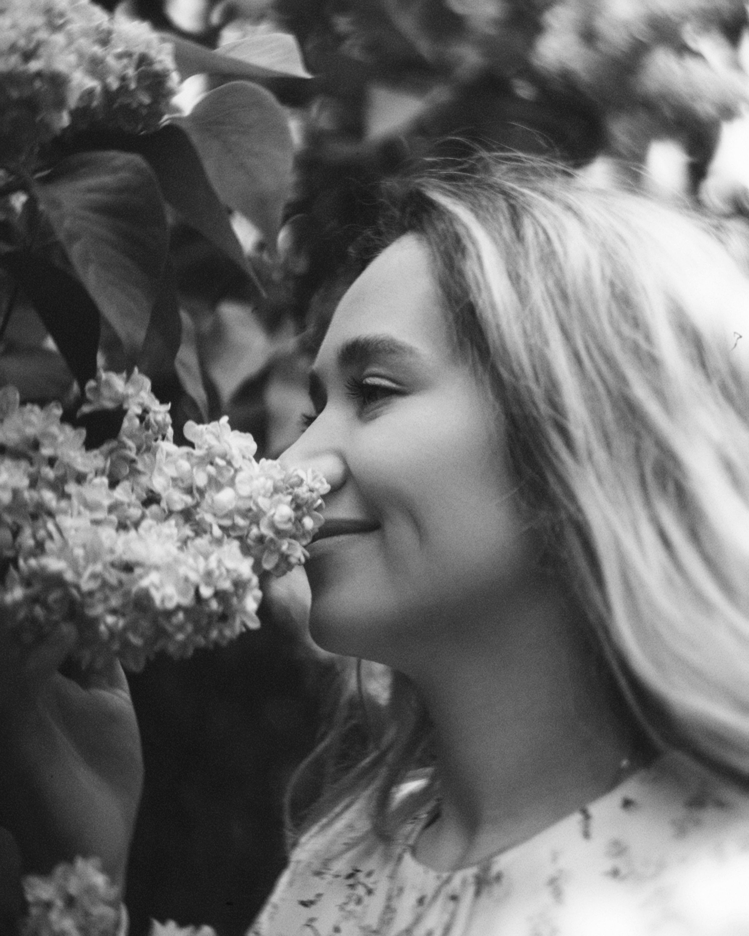 Согдиана. Сиреневый сад