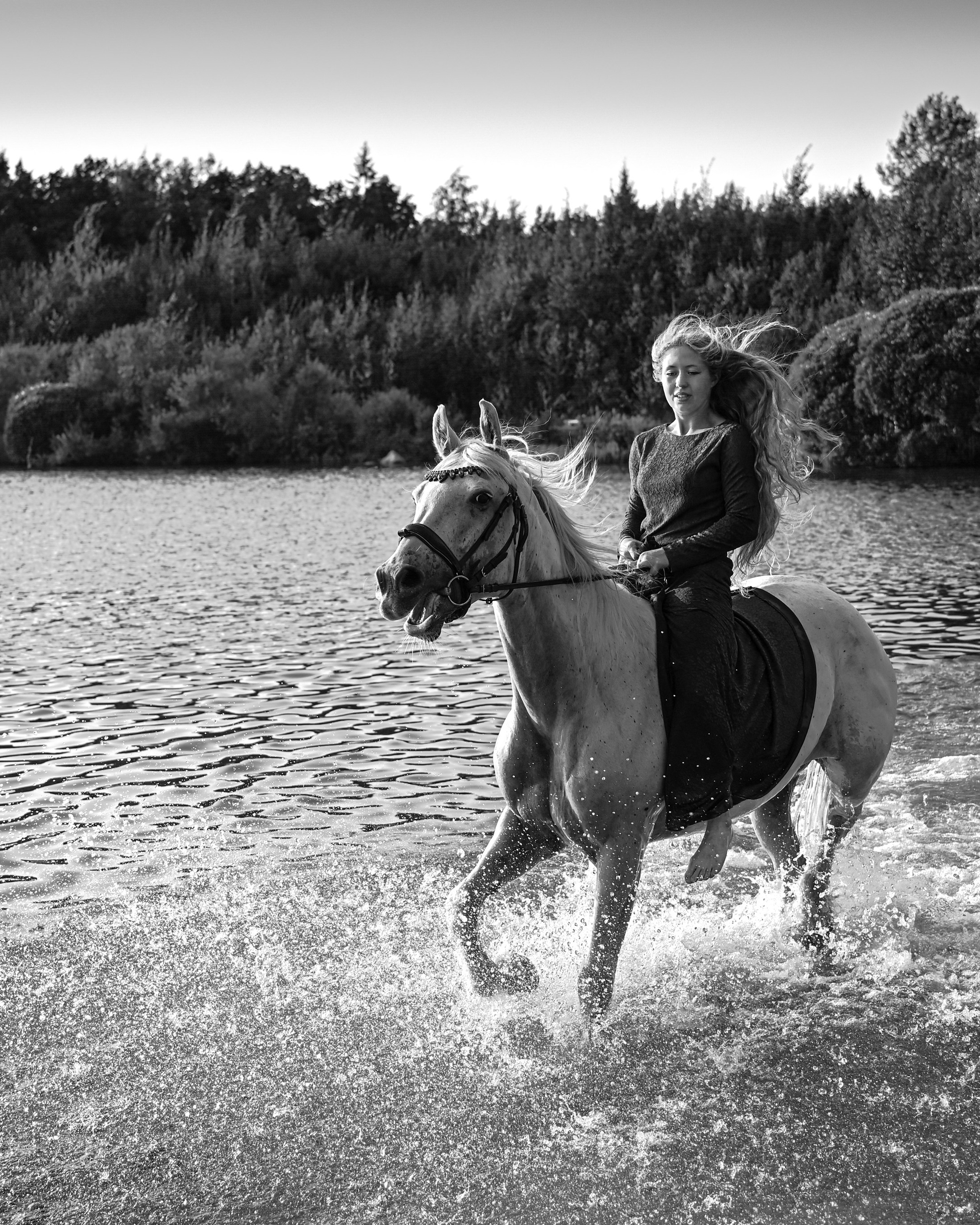 Конные портреты