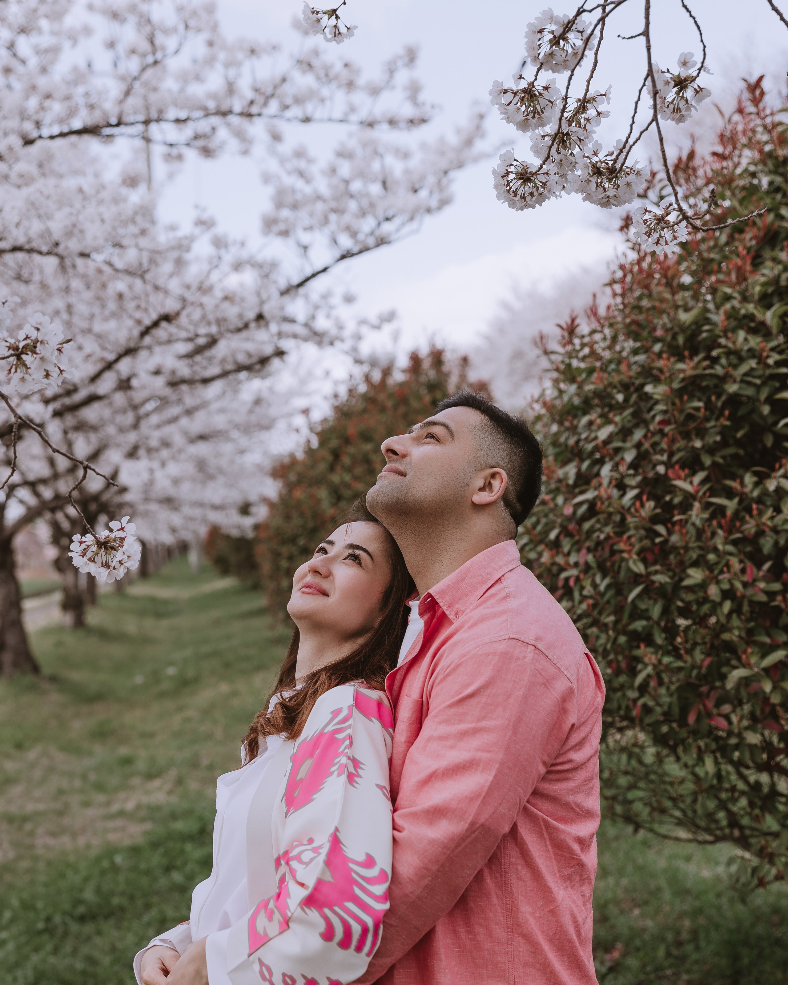 Wedding Photoshoot with Cherry Blossoms in Busan