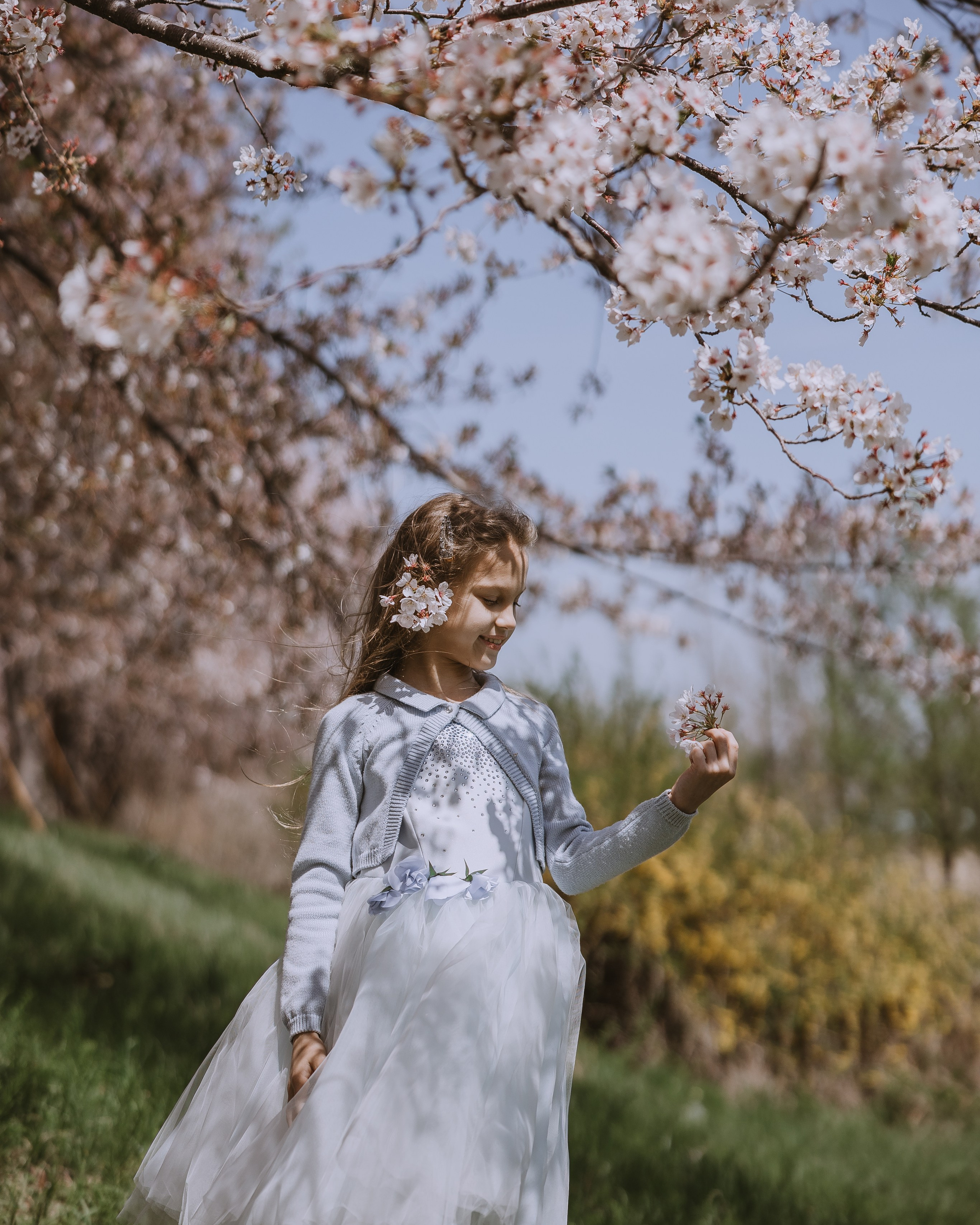 Spring Cherry Blossom Photoshoot in&nbsp;Busan