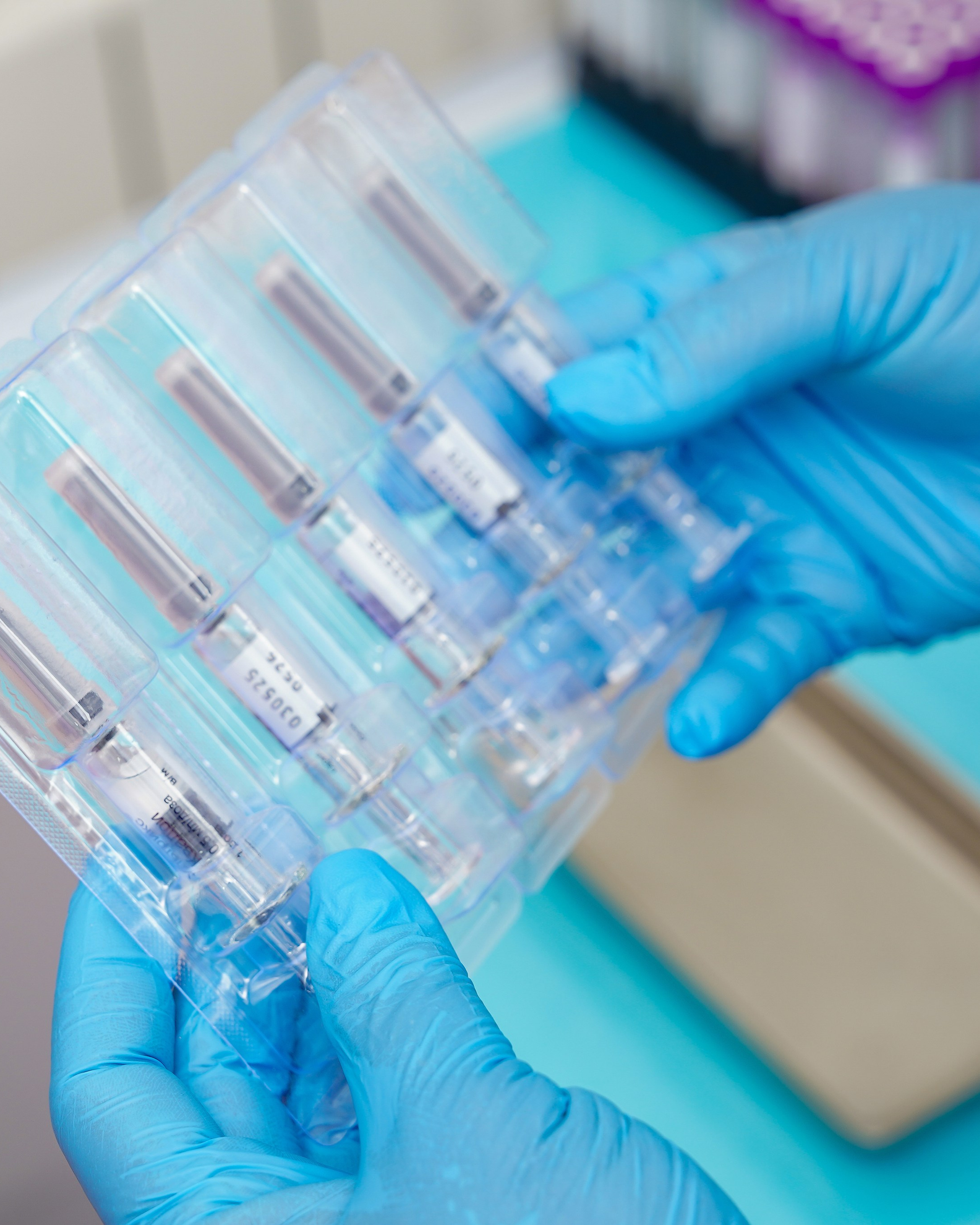 Стомополис