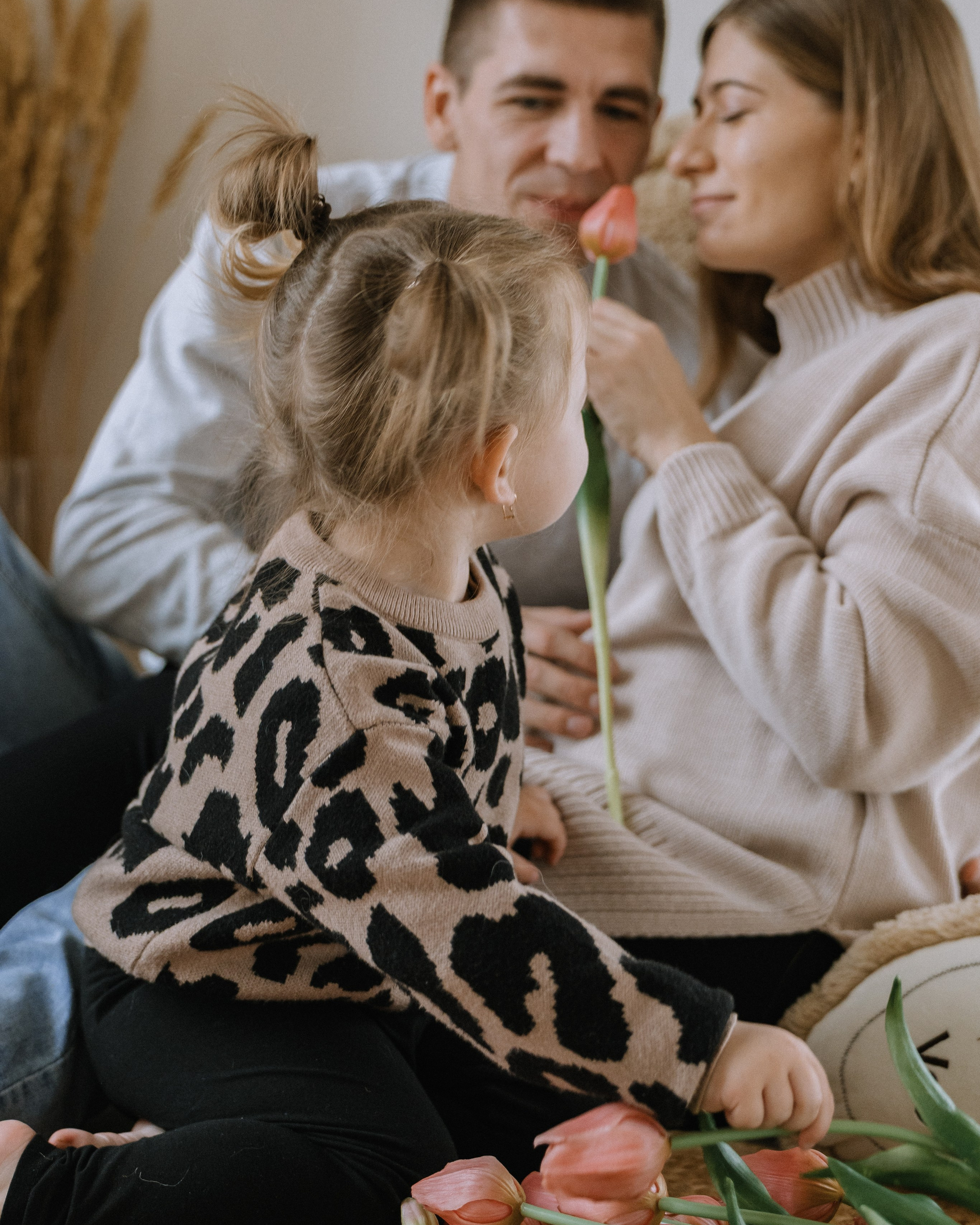 семья Акимовых