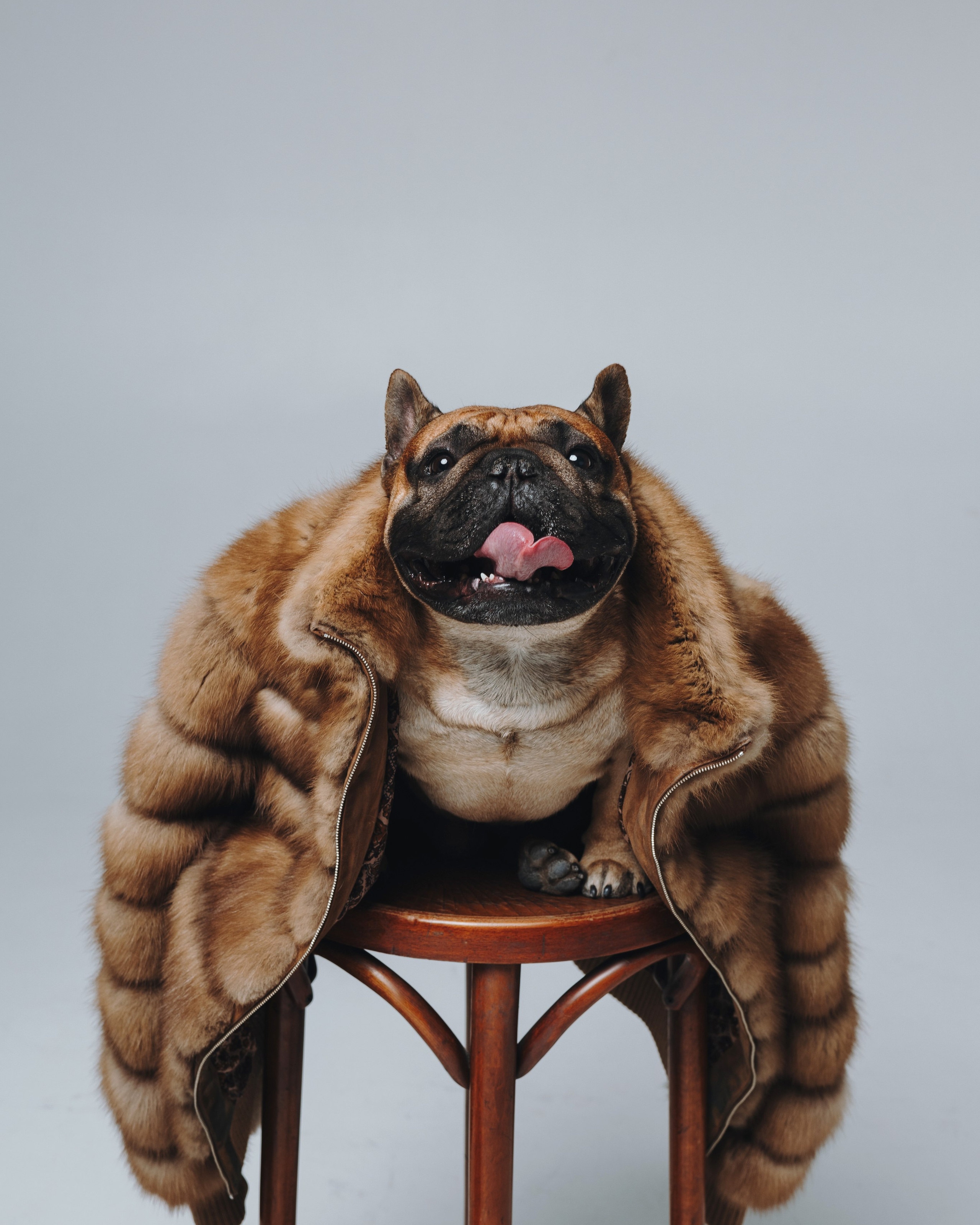 Анна, Юля, грогу и Винс