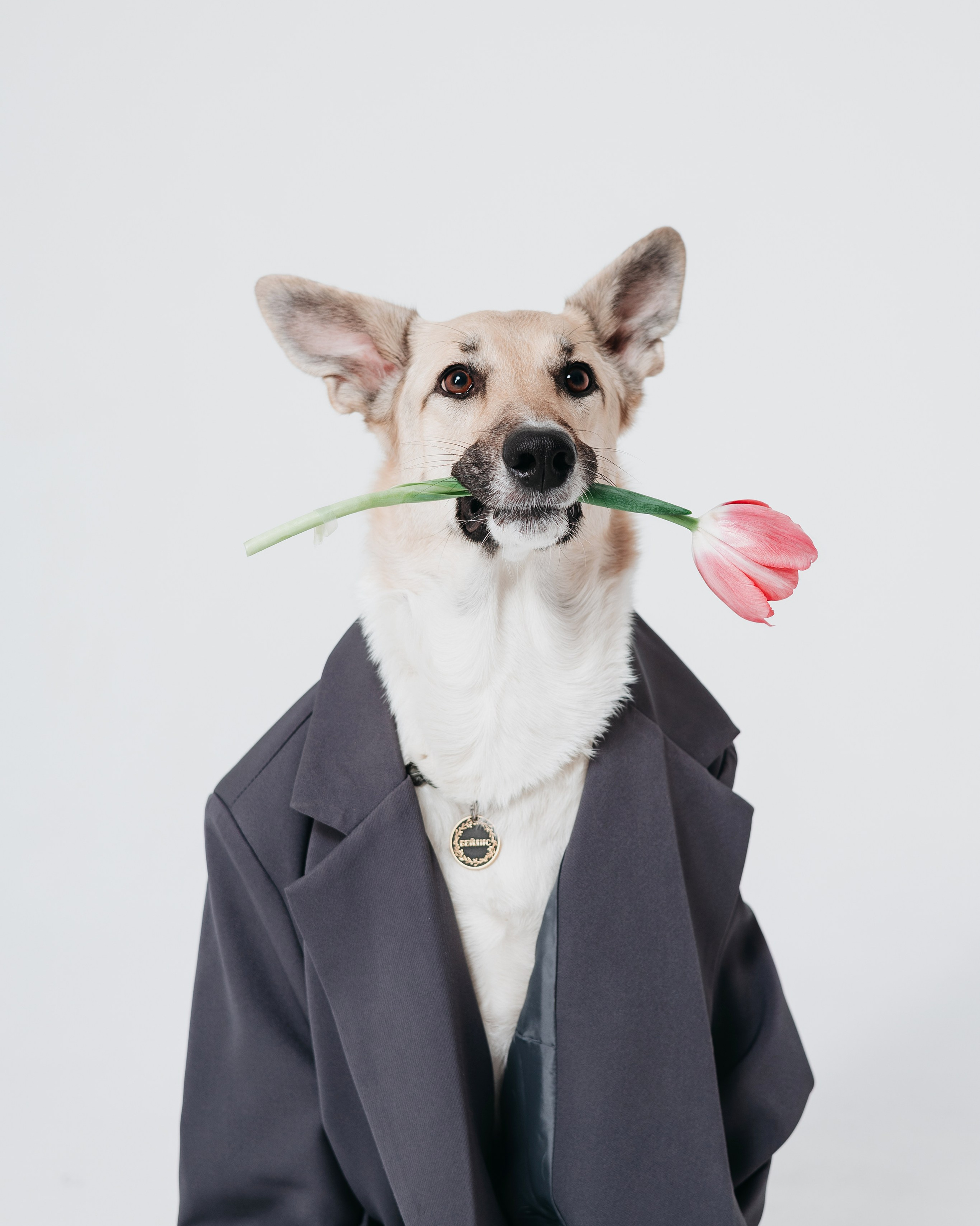 Анна и Бейлис