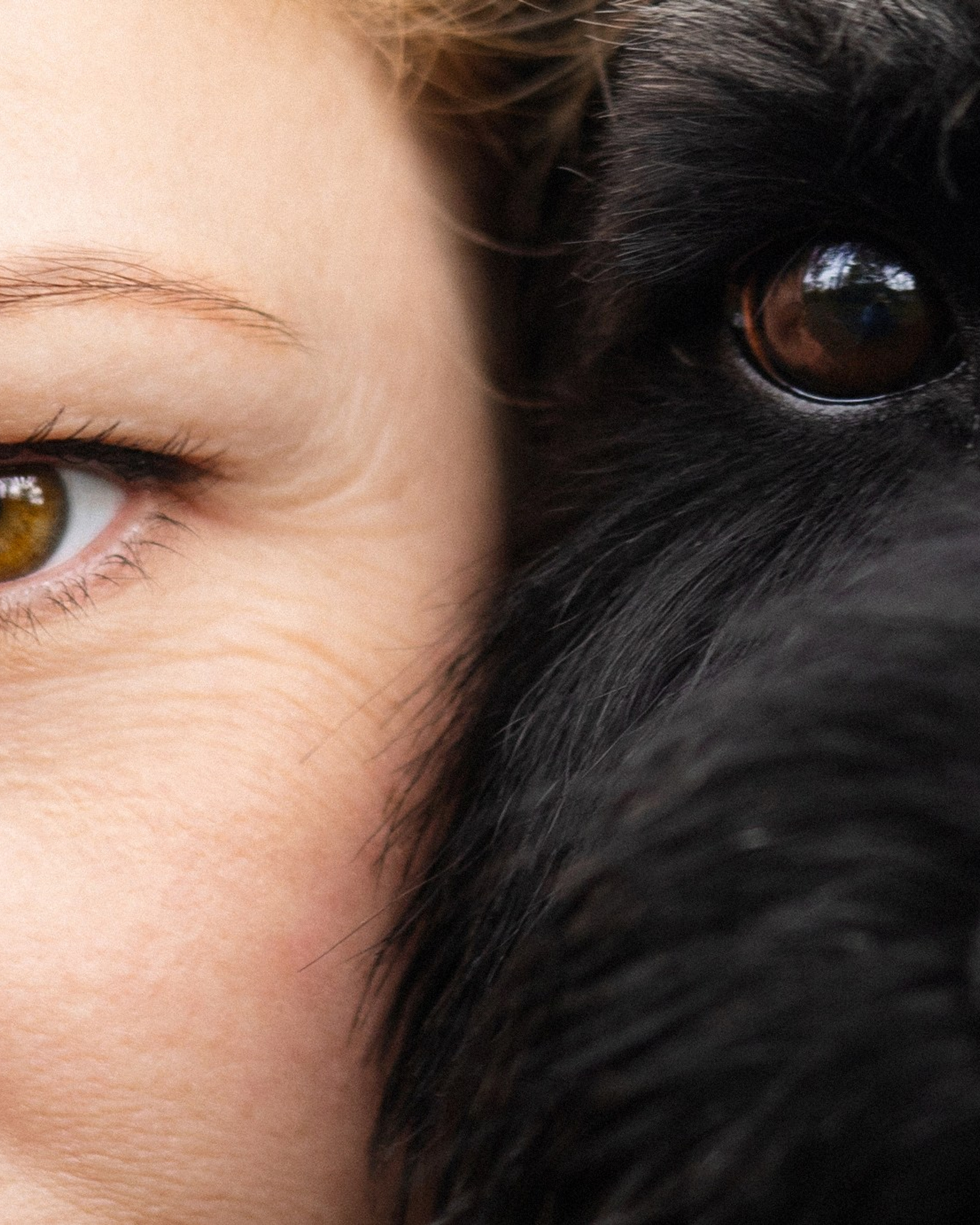 Екатерина и Вольт