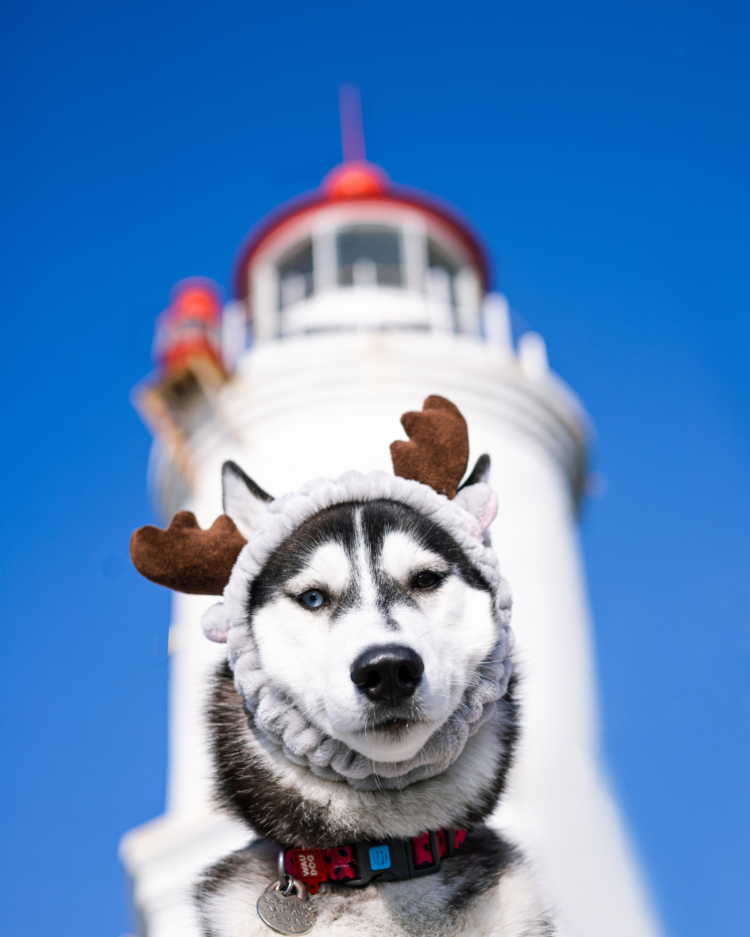 Галина и Хелла