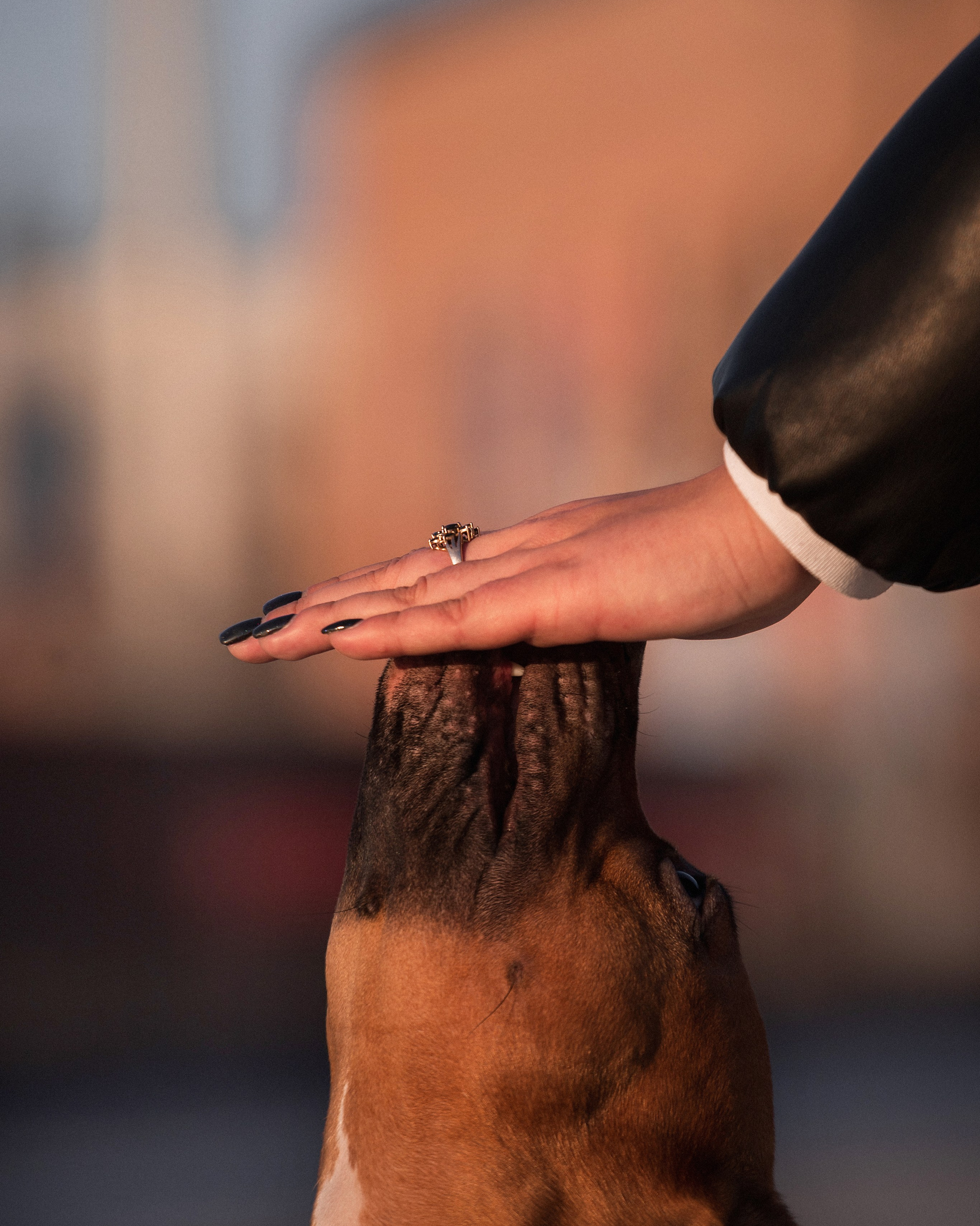 Арина и Стэфи