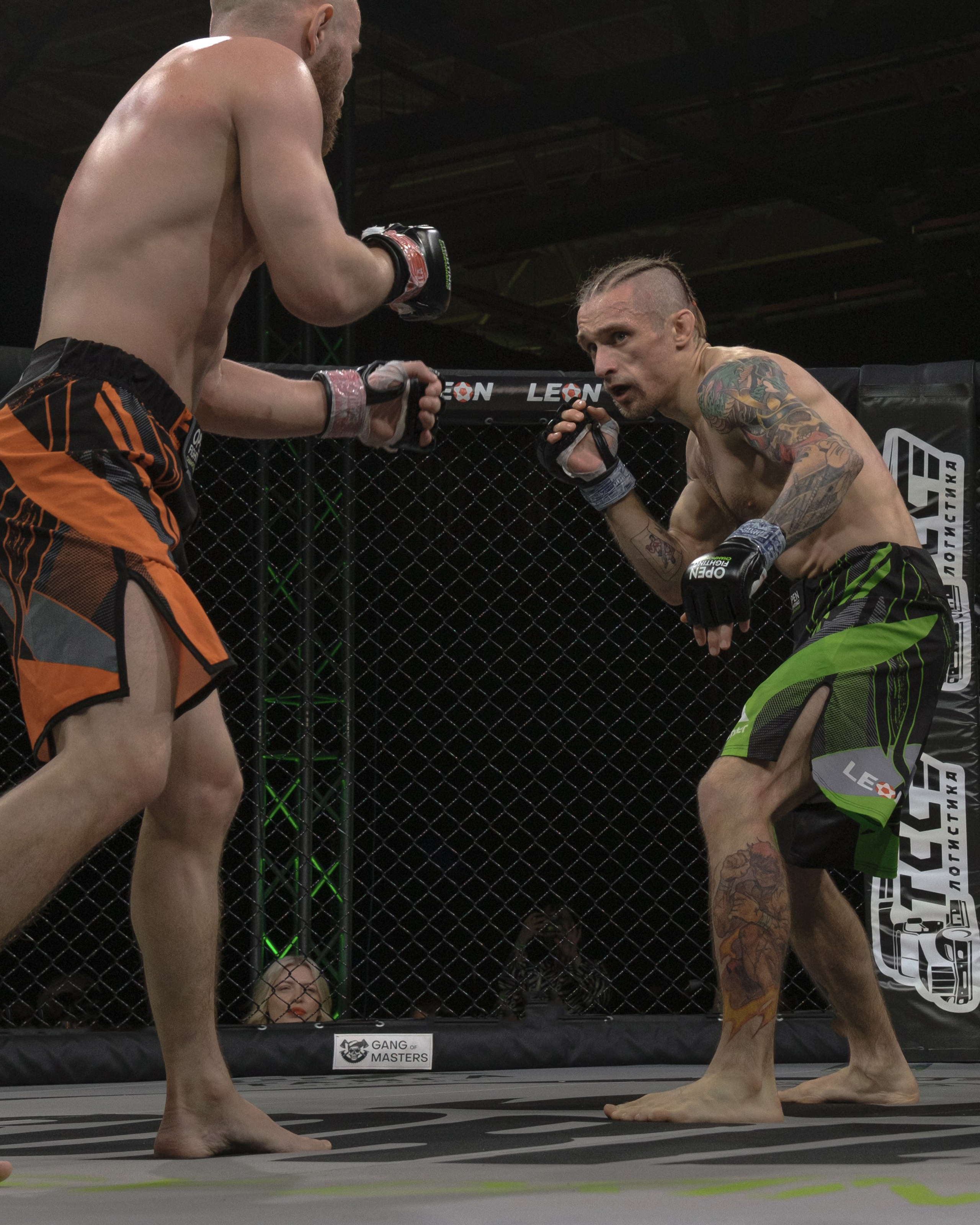 Международные бои ММА