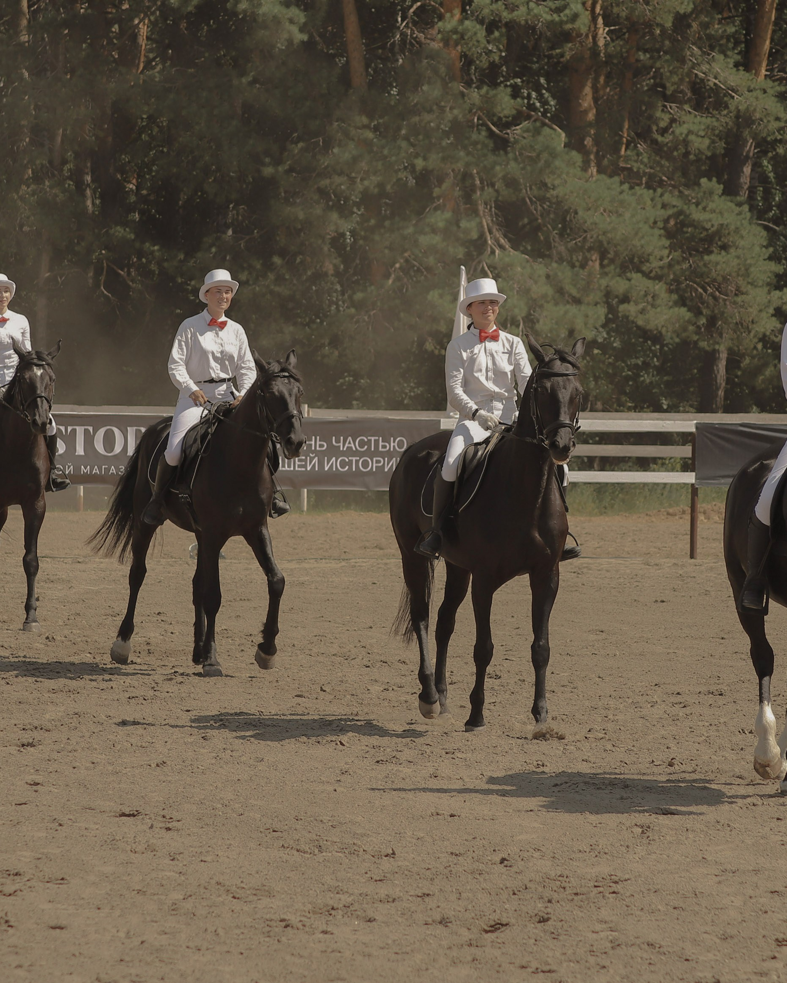 «Гонка фаворитов»