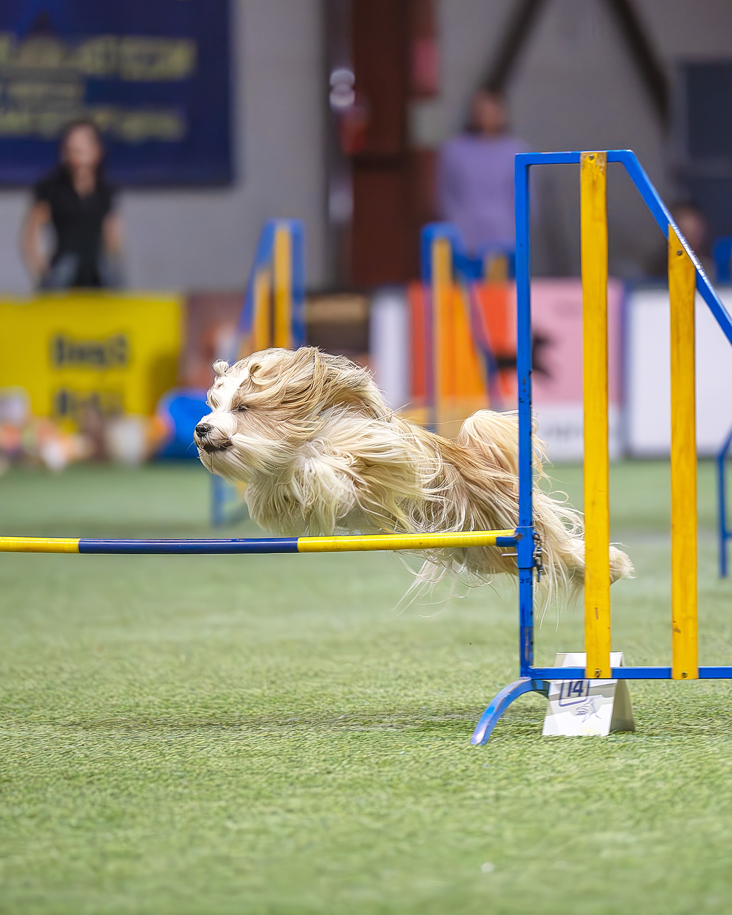 Фотографии с соревнований