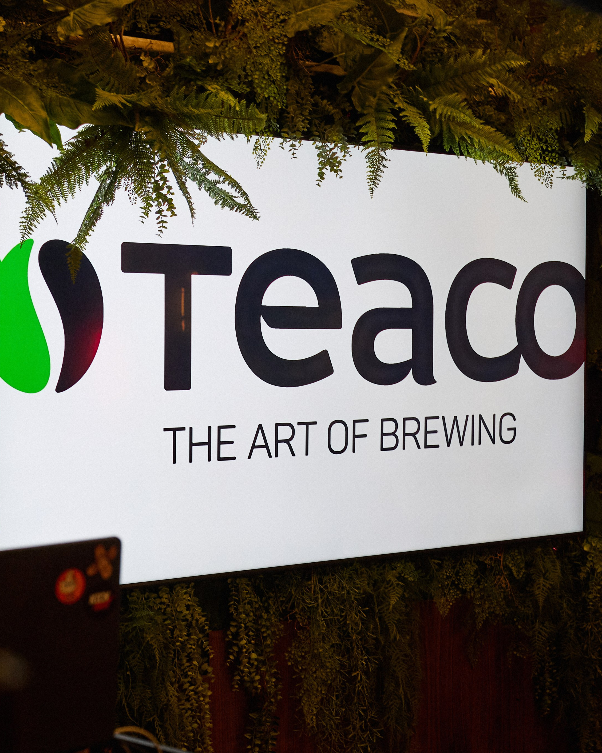 Корпоратив TEACO