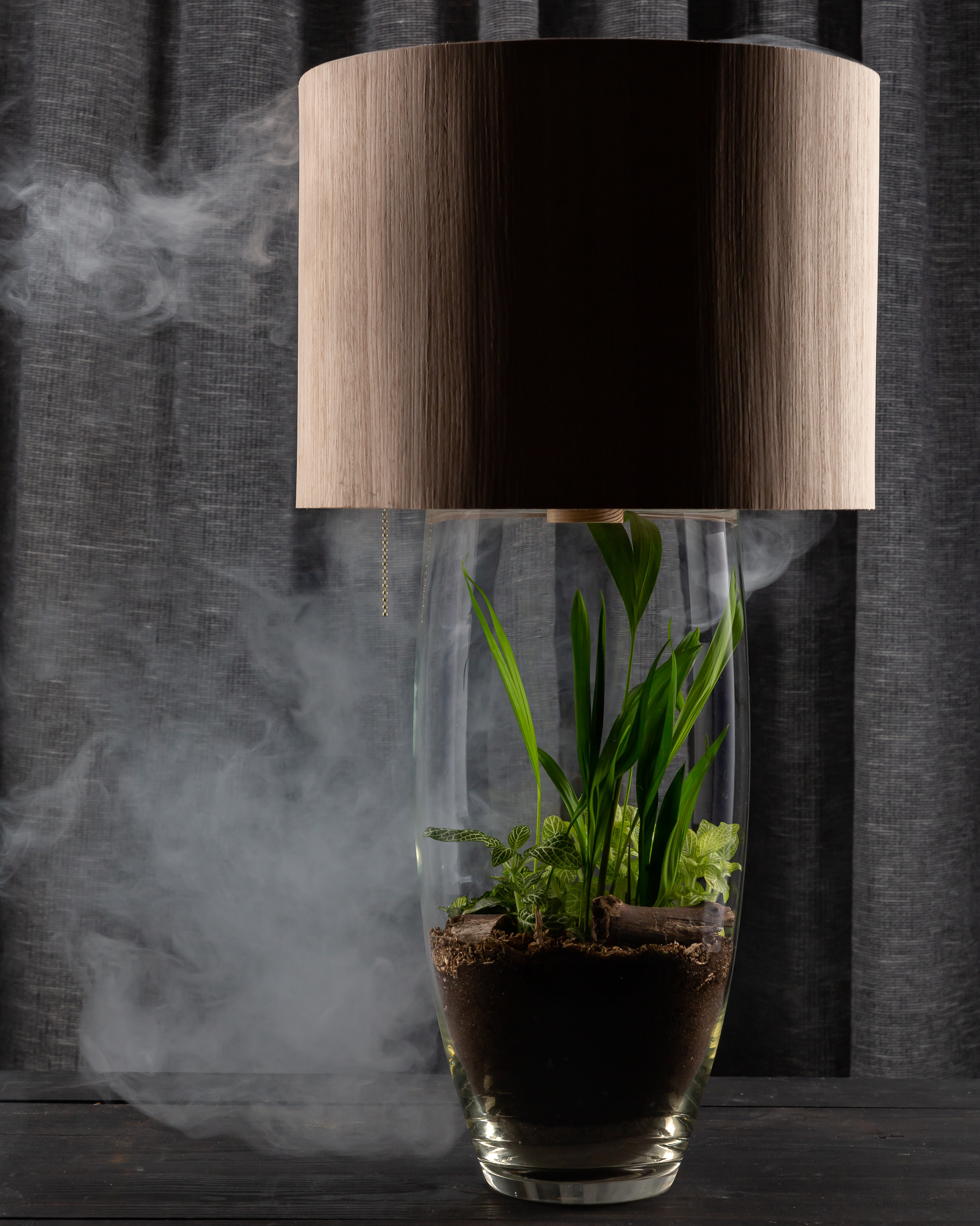 Живые светильники " THEFLOWBERRY»