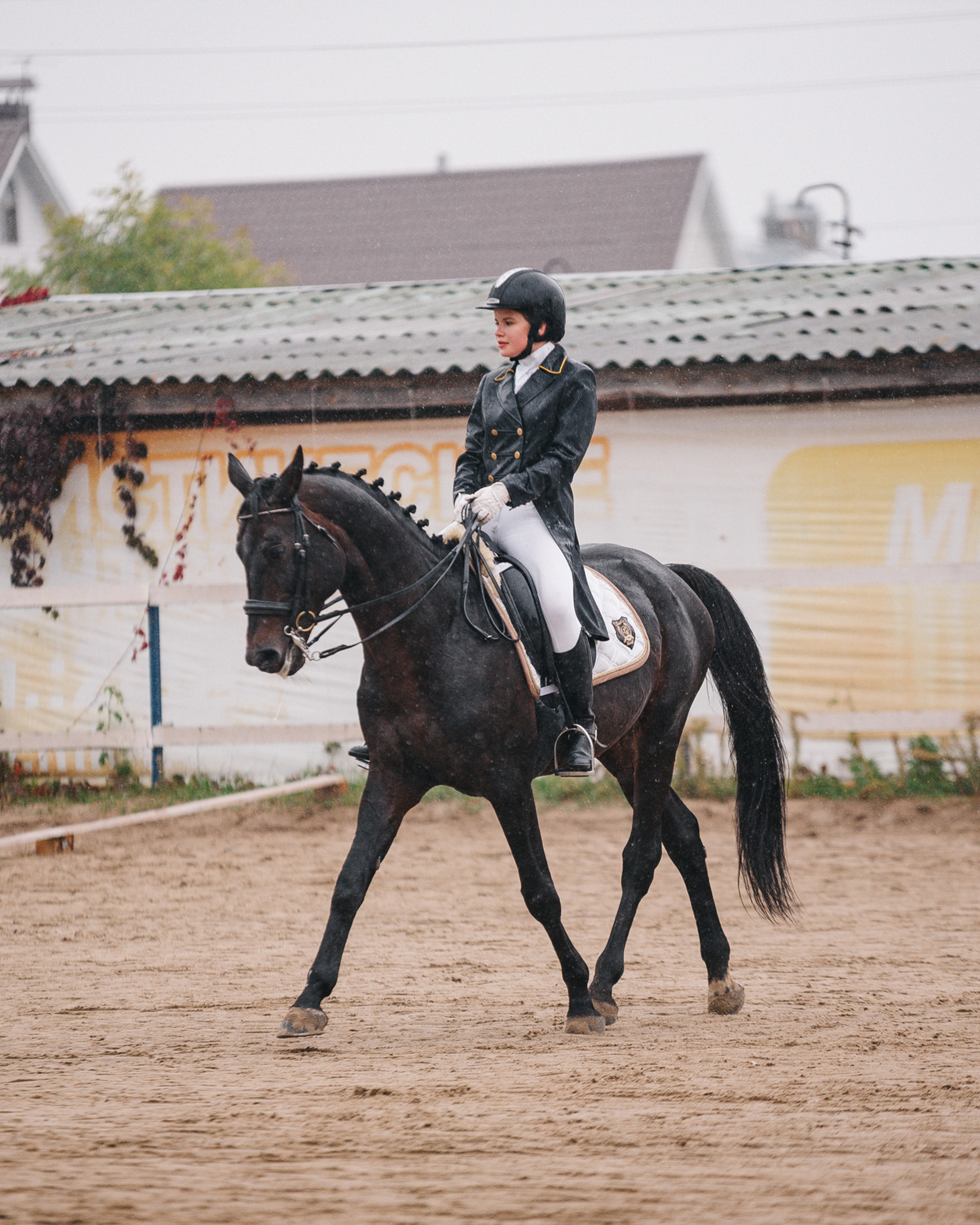 КСК Росинант. Клубные соревнования-выездка