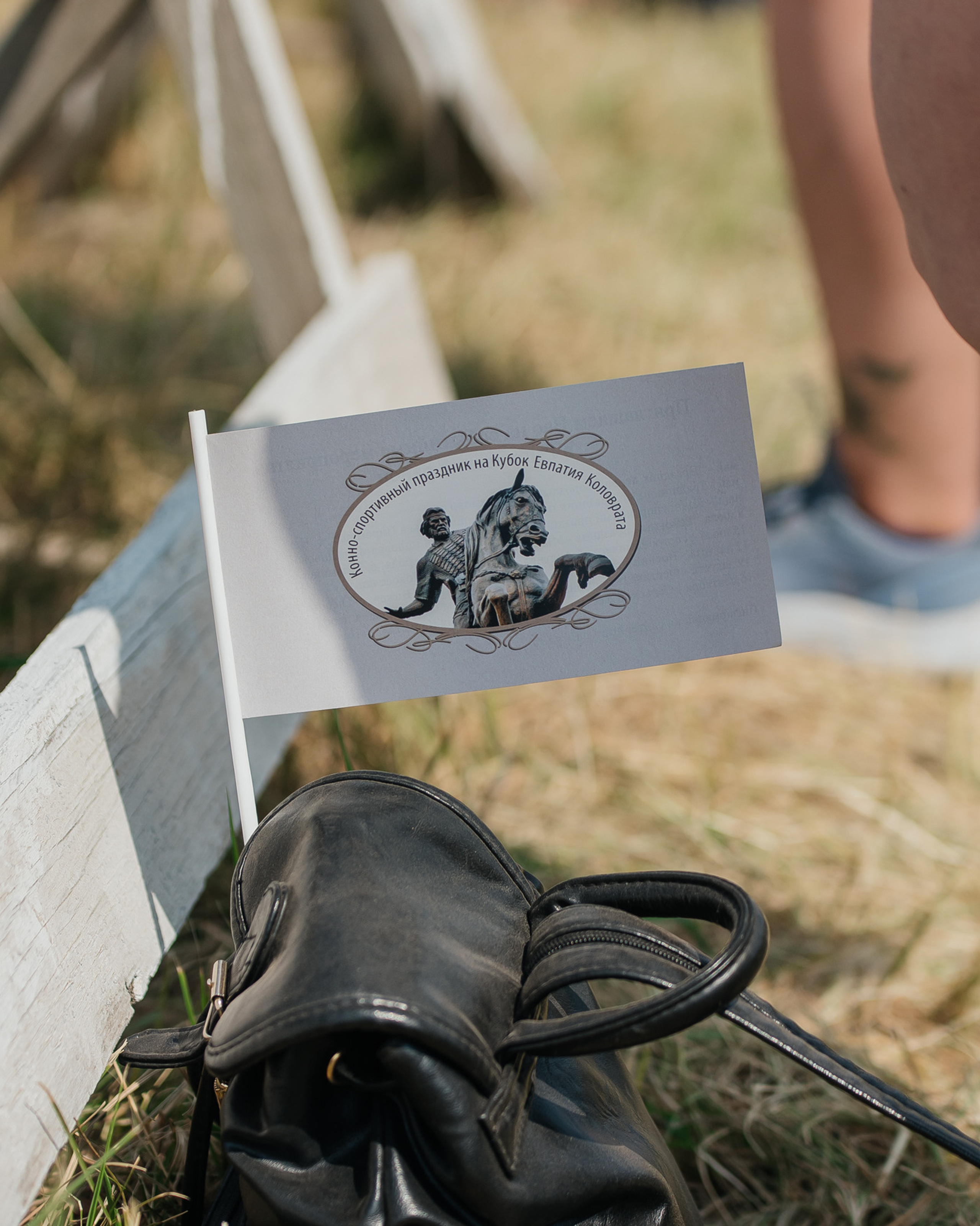 ВНИИК 17.06.2023. Кубок Евпатия Коловрата. Конкур