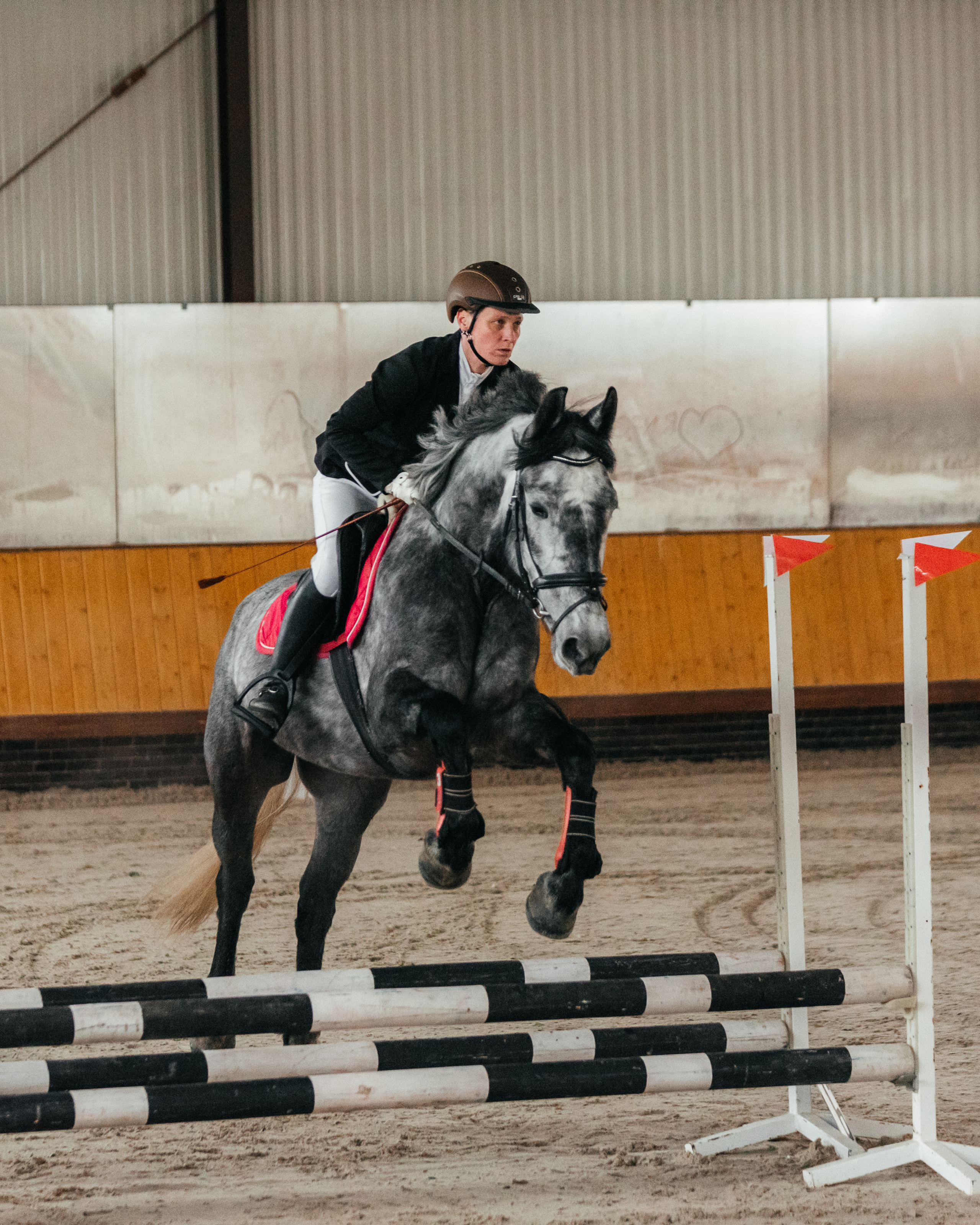 КСК История. 25.02.2023. Конкур