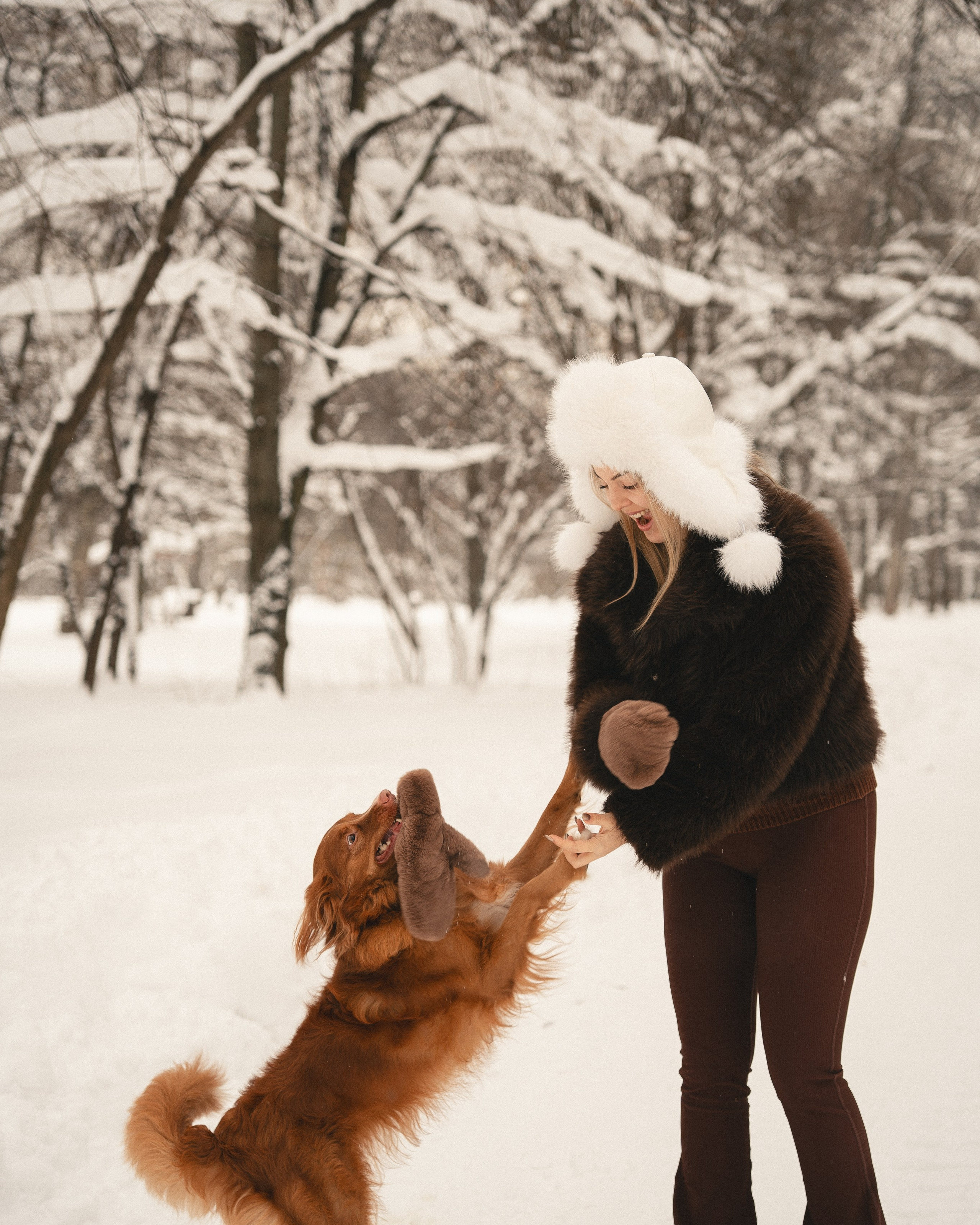Зимний лес.Индивидуальная