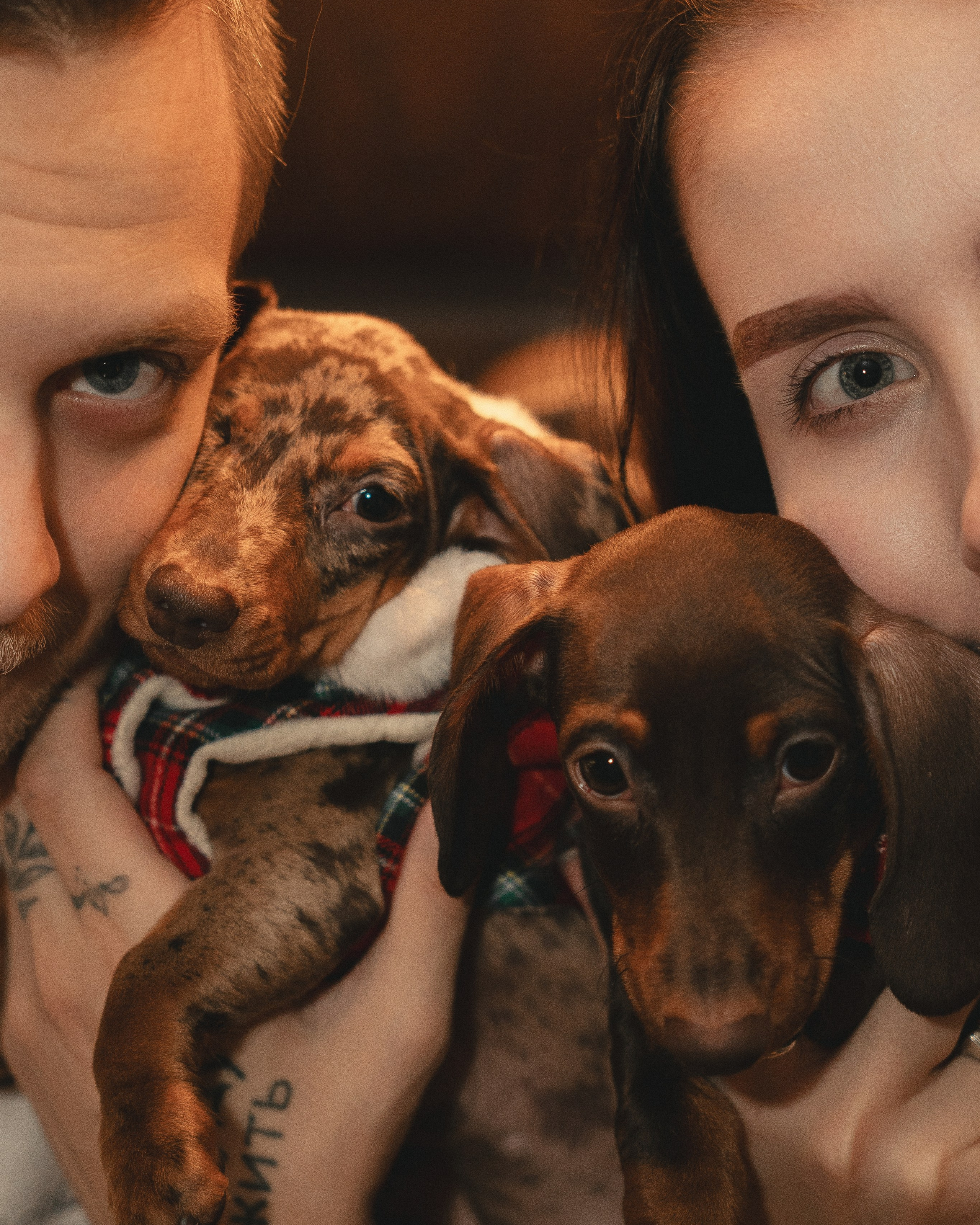 Яна&Тема. Лавстори