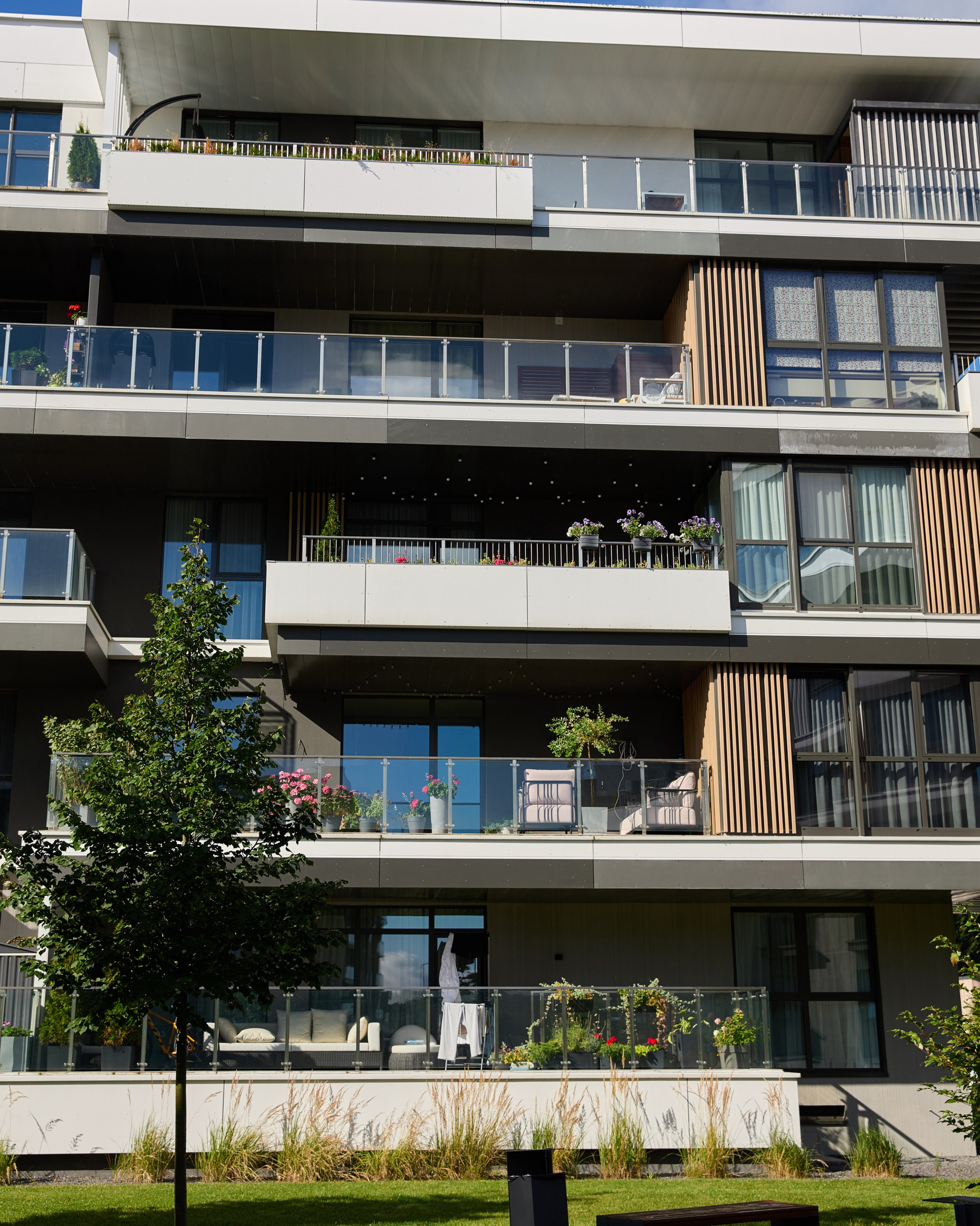 Пирс репортаж