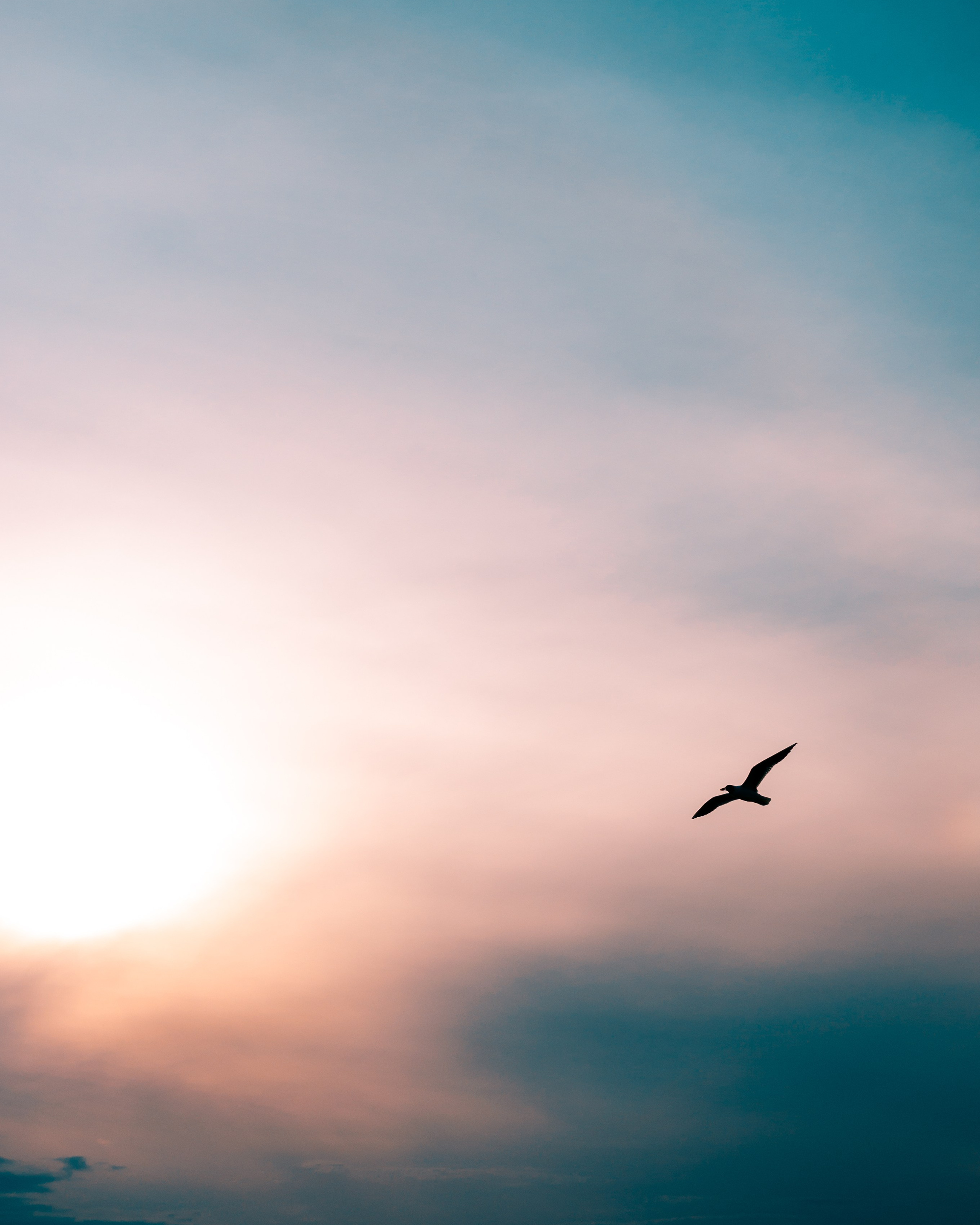 Контент-съёмки