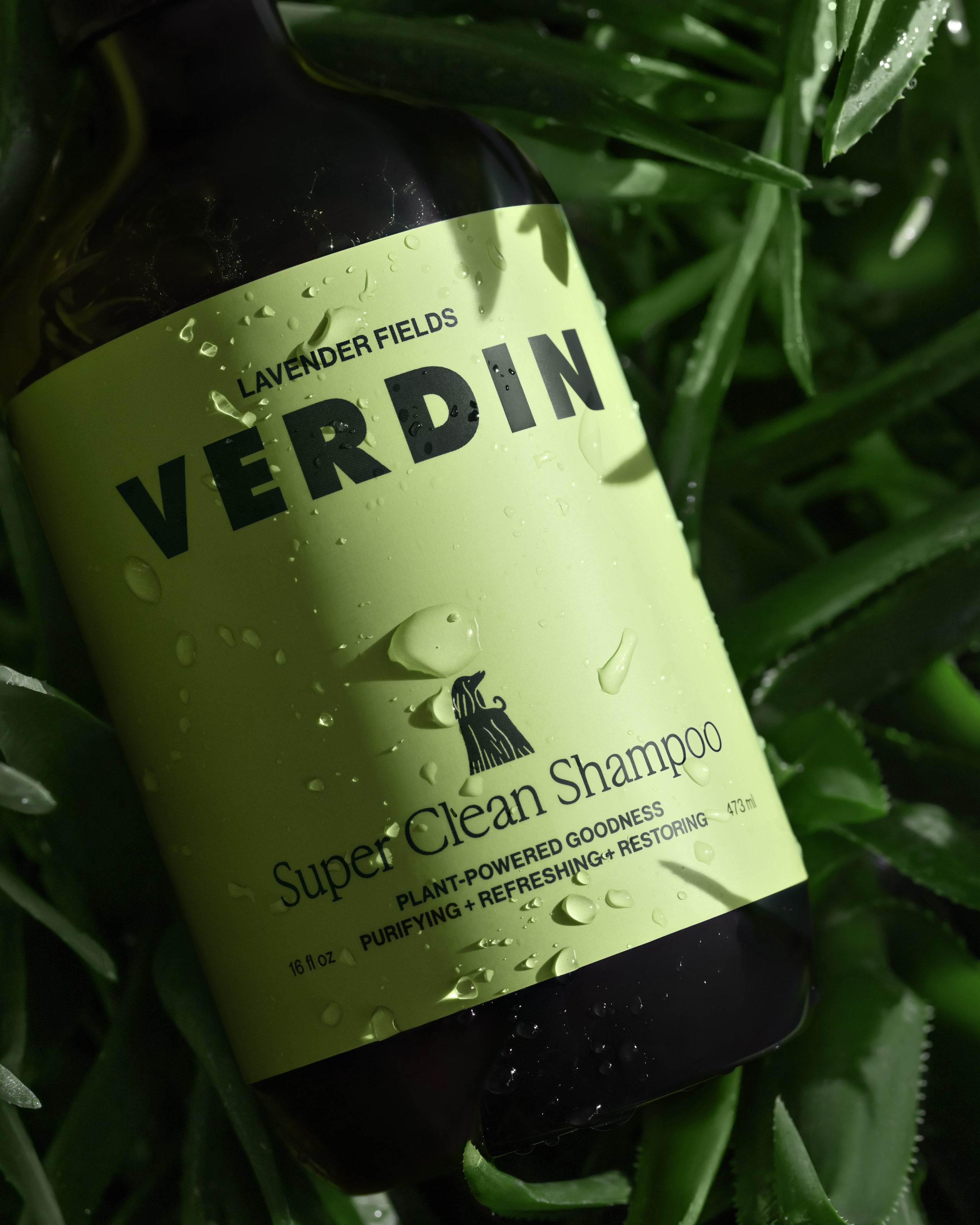 VERDIN
